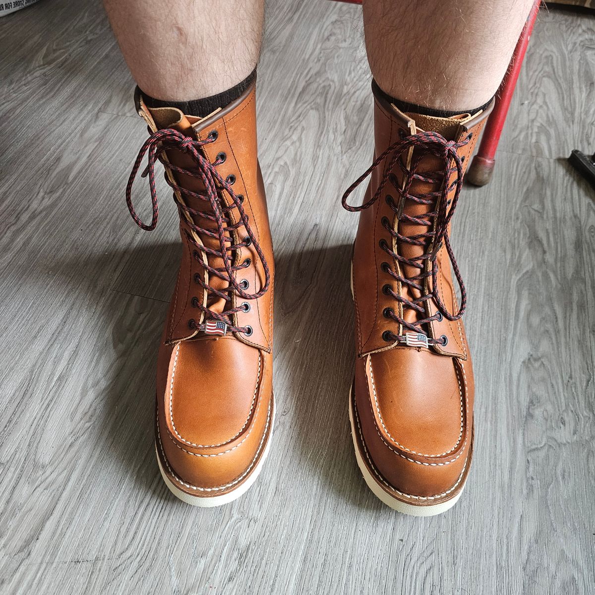 Photo by fozzie_the_bear on March 5, 2025 of the Red Wing 10877 in S.B. Foot Oro-Iginal.