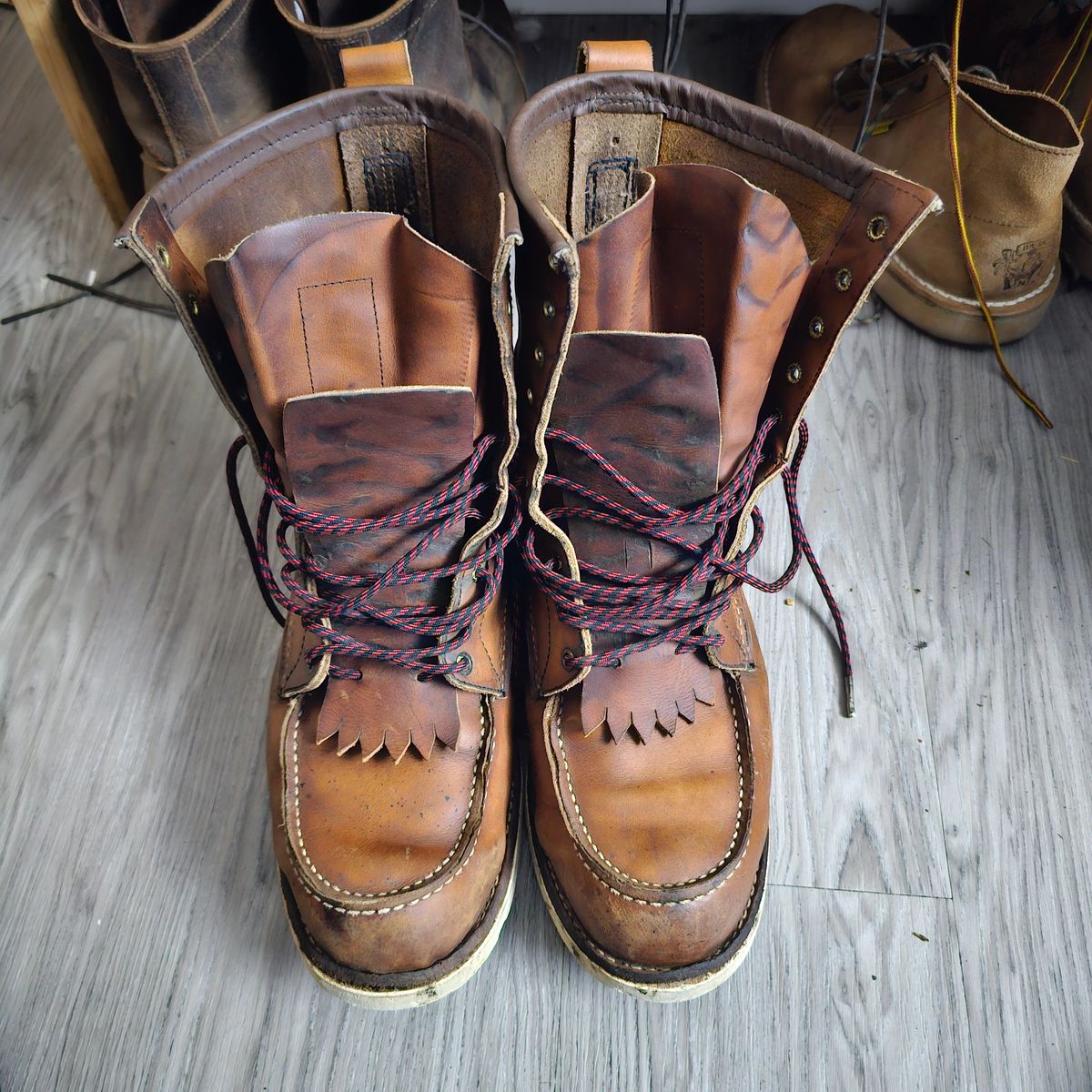 Photo by fozzie_the_bear on June 23, 2025 of the Red Wing 10877 in S.B. Foot Oro-Iginal.