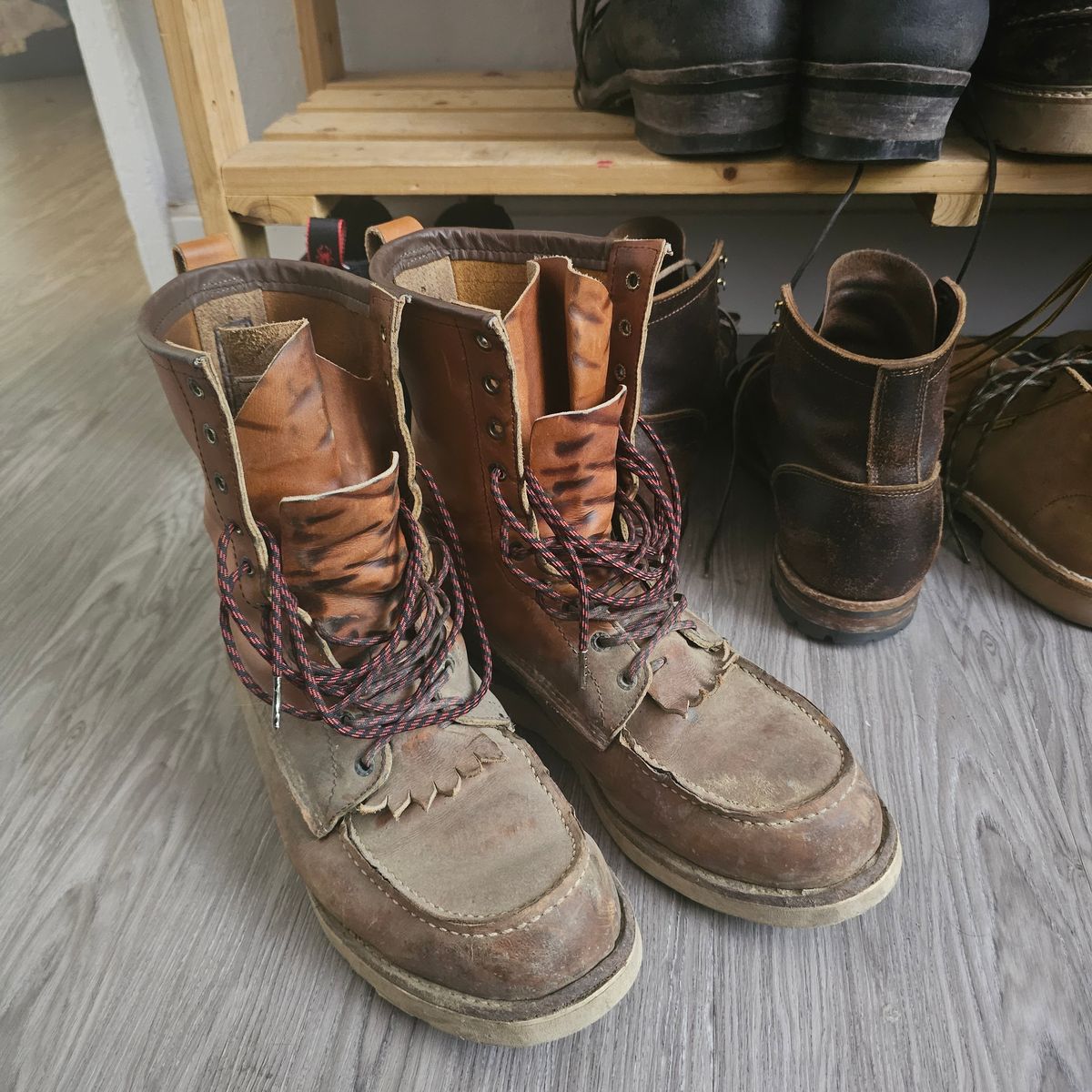 Photo by fozzie_the_bear on April 18, 2025 of the Red Wing 10877 in S.B. Foot Oro-Iginal.