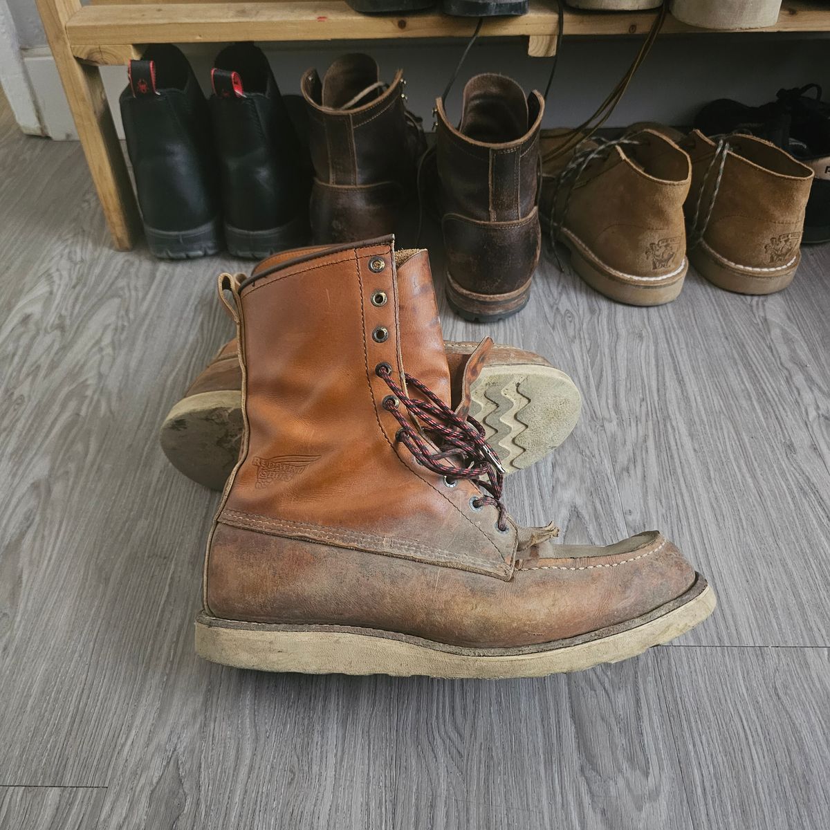 Photo by fozzie_the_bear on April 18, 2025 of the Red Wing 10877 in S.B. Foot Oro-Iginal.