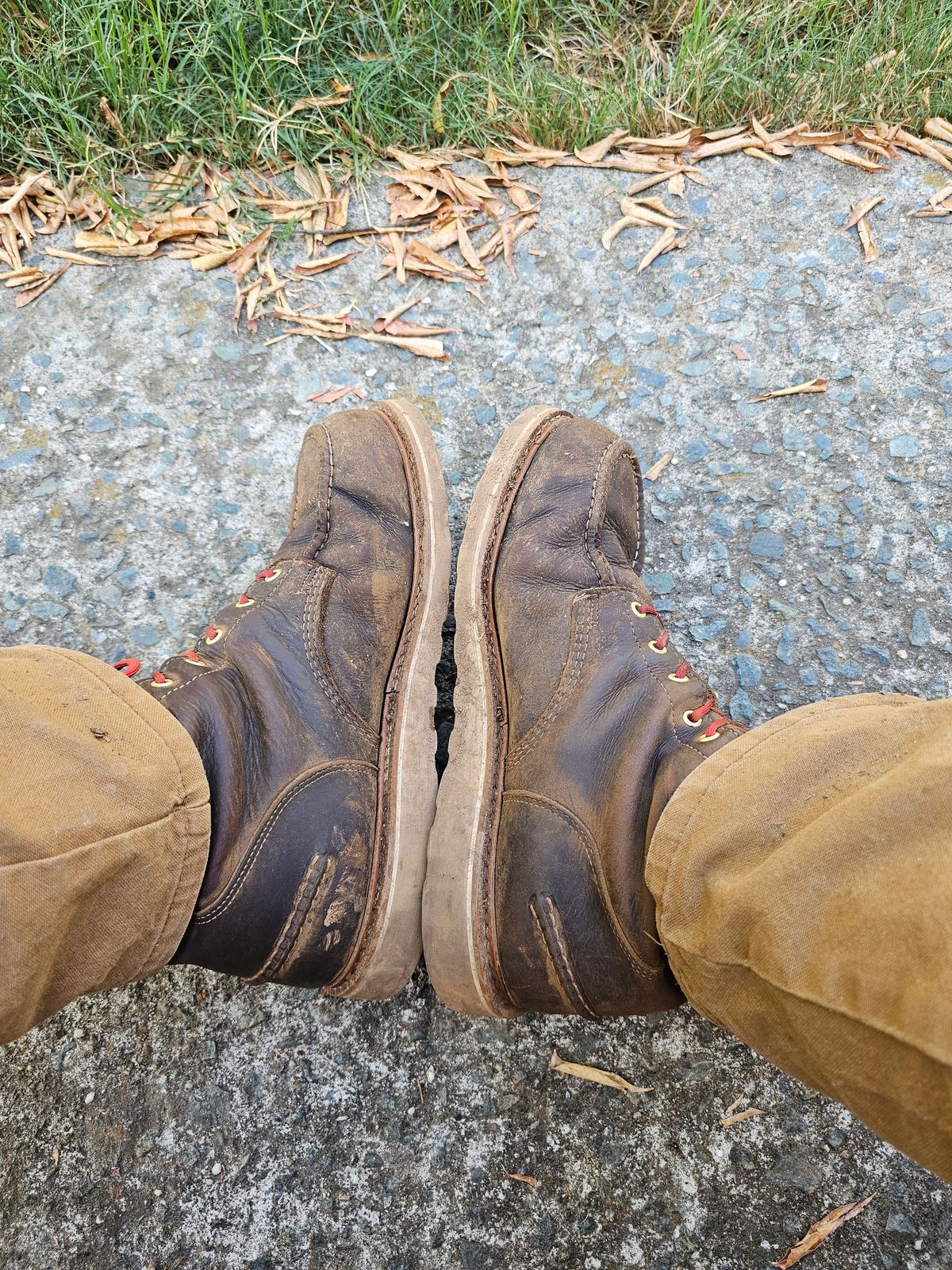 Photo by fozzie_the_bear on September 24, 2023 of the Thorogood 1957 Series 8" Moc Toe in Briar Pitstop Full Grain.