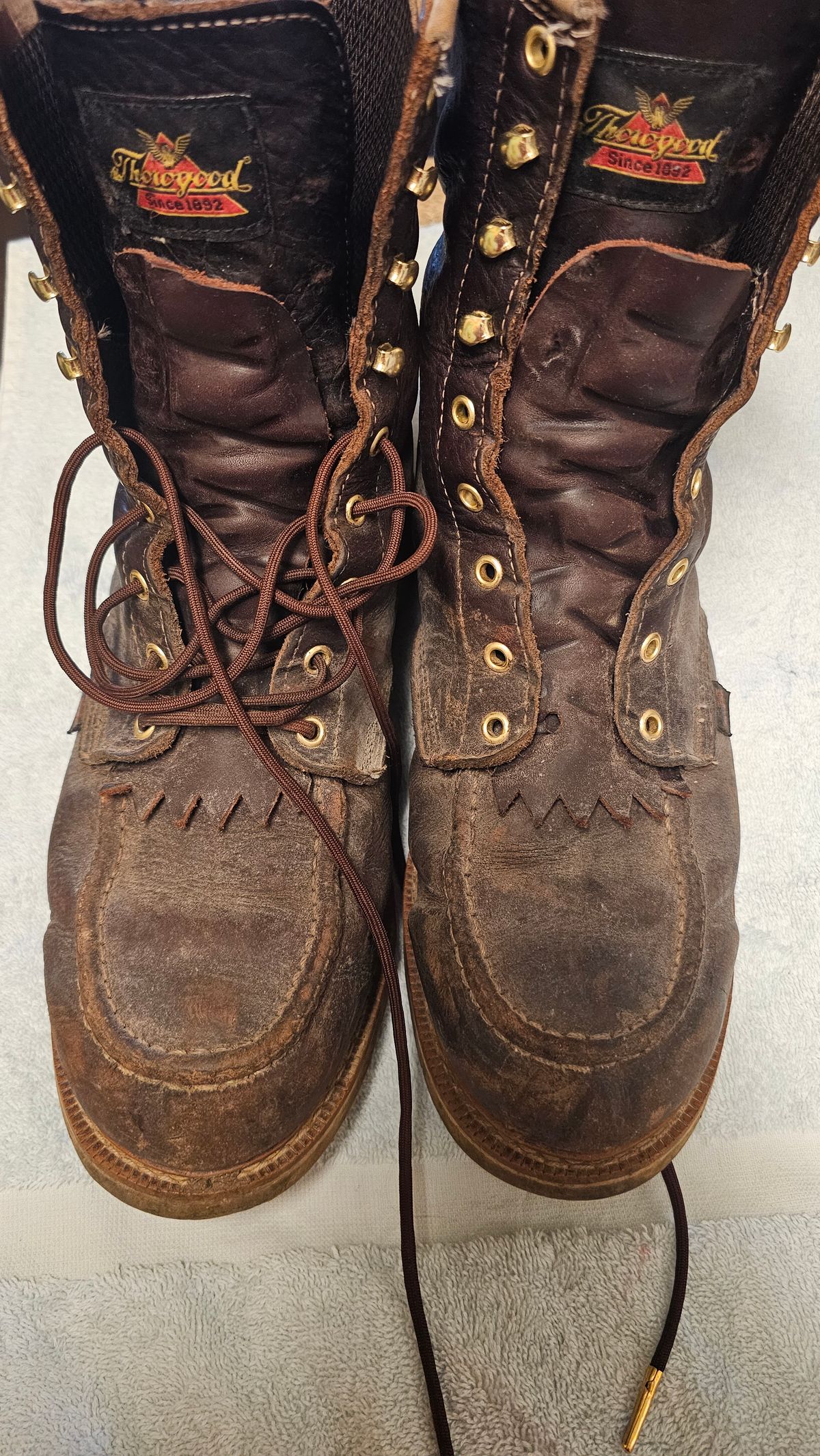 Photo by fozzie_the_bear on March 4, 2024 of the Thorogood 1957 Series 8" Moc Toe in Briar Pitstop Full Grain.