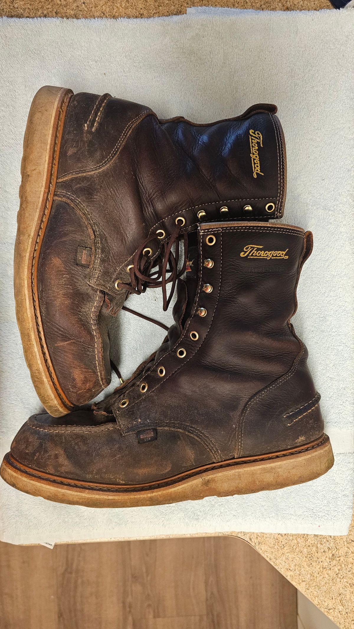 Photo by fozzie_the_bear on March 4, 2024 of the Thorogood 1957 Series 8" Moc Toe in Briar Pitstop Full Grain.