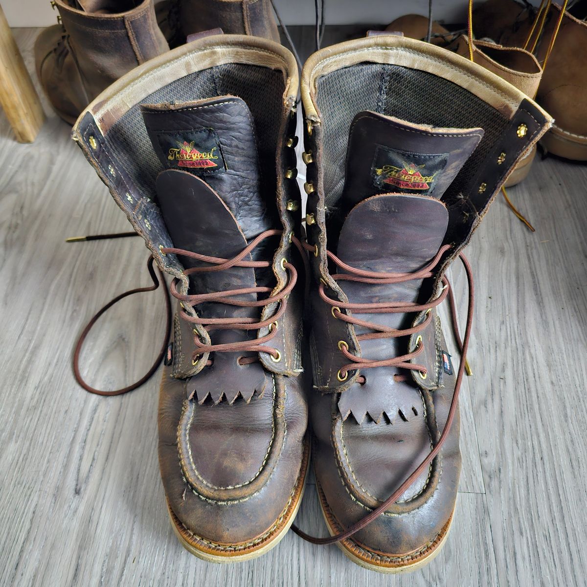 Photo by fozzie_the_bear on June 23, 2025 of the Thorogood 1957 Series 8" Moc Toe in Briar Pitstop Full Grain.