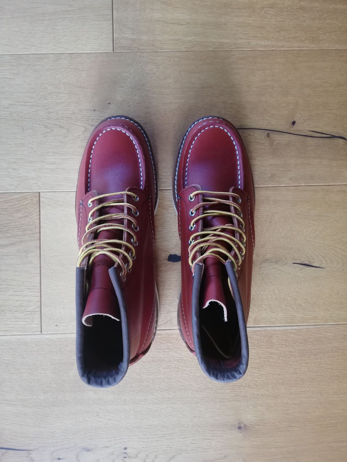 Photo by Lukas_castle on October 1, 2023 of the Red Wing 6-Inch Classic Moc in S.B. Foot Oro-Russet Portage.