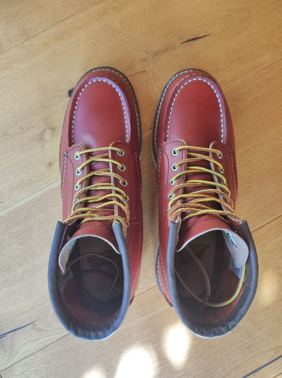 Photo by Lukas_castle on November 1, 2023 of the Red Wing 6-Inch Classic Moc in S.B. Foot Oro-Russet Portage.
