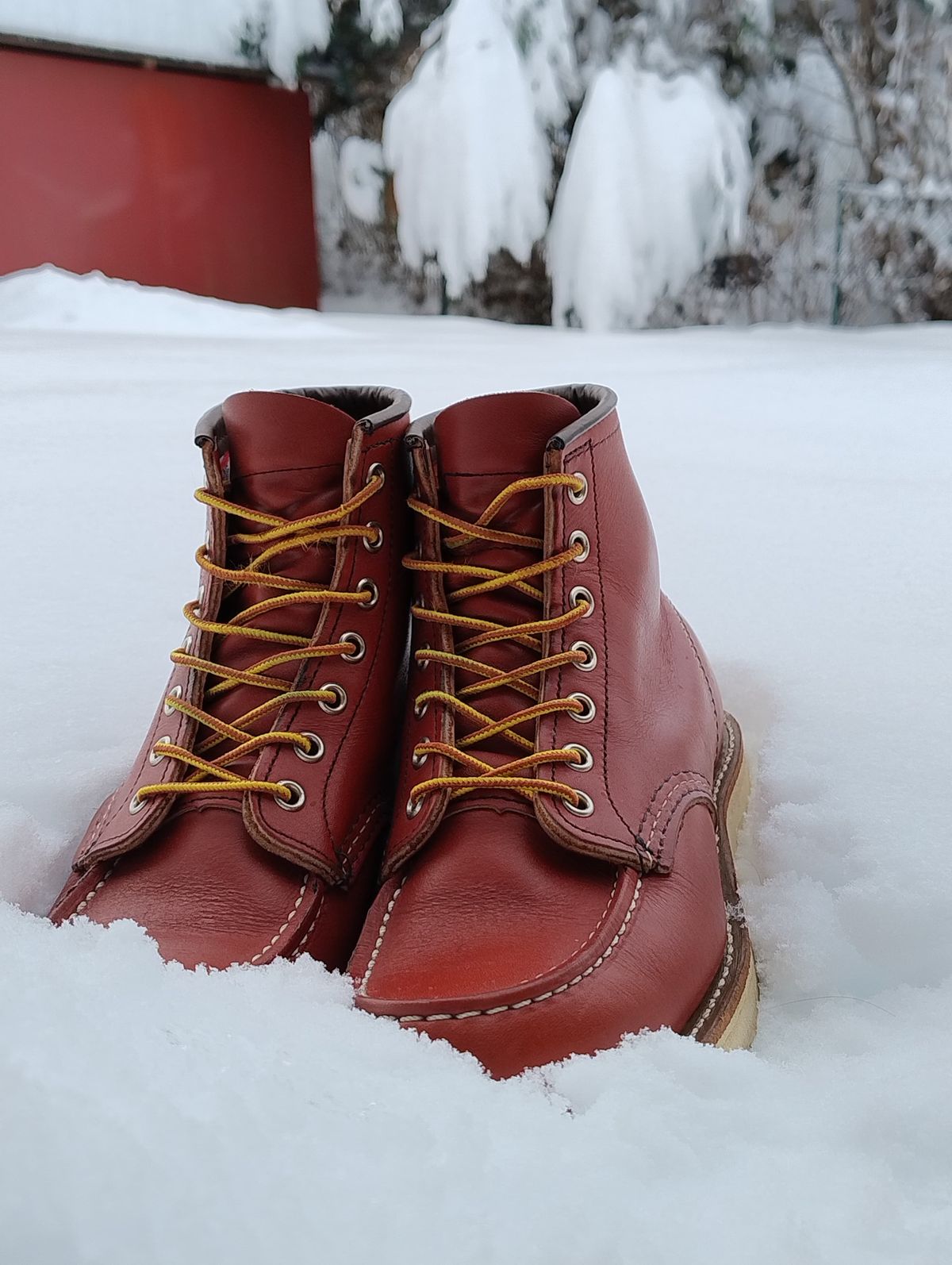 Photo by Lukas_castle on December 4, 2023 of the Red Wing 6-Inch Classic Moc in S.B. Foot Oro-Russet Portage.