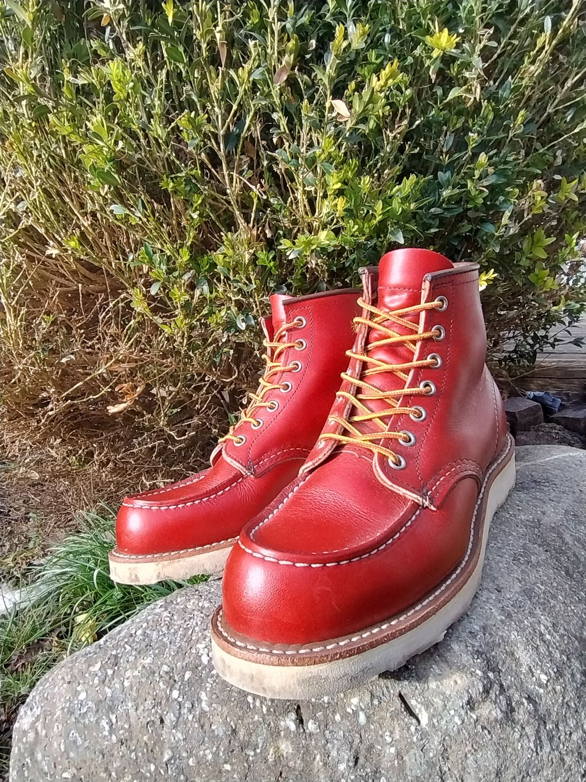 Photo by Lukas_castle on January 3, 2024 of the Red Wing 6-Inch Classic Moc in S.B. Foot Oro-Russet Portage.