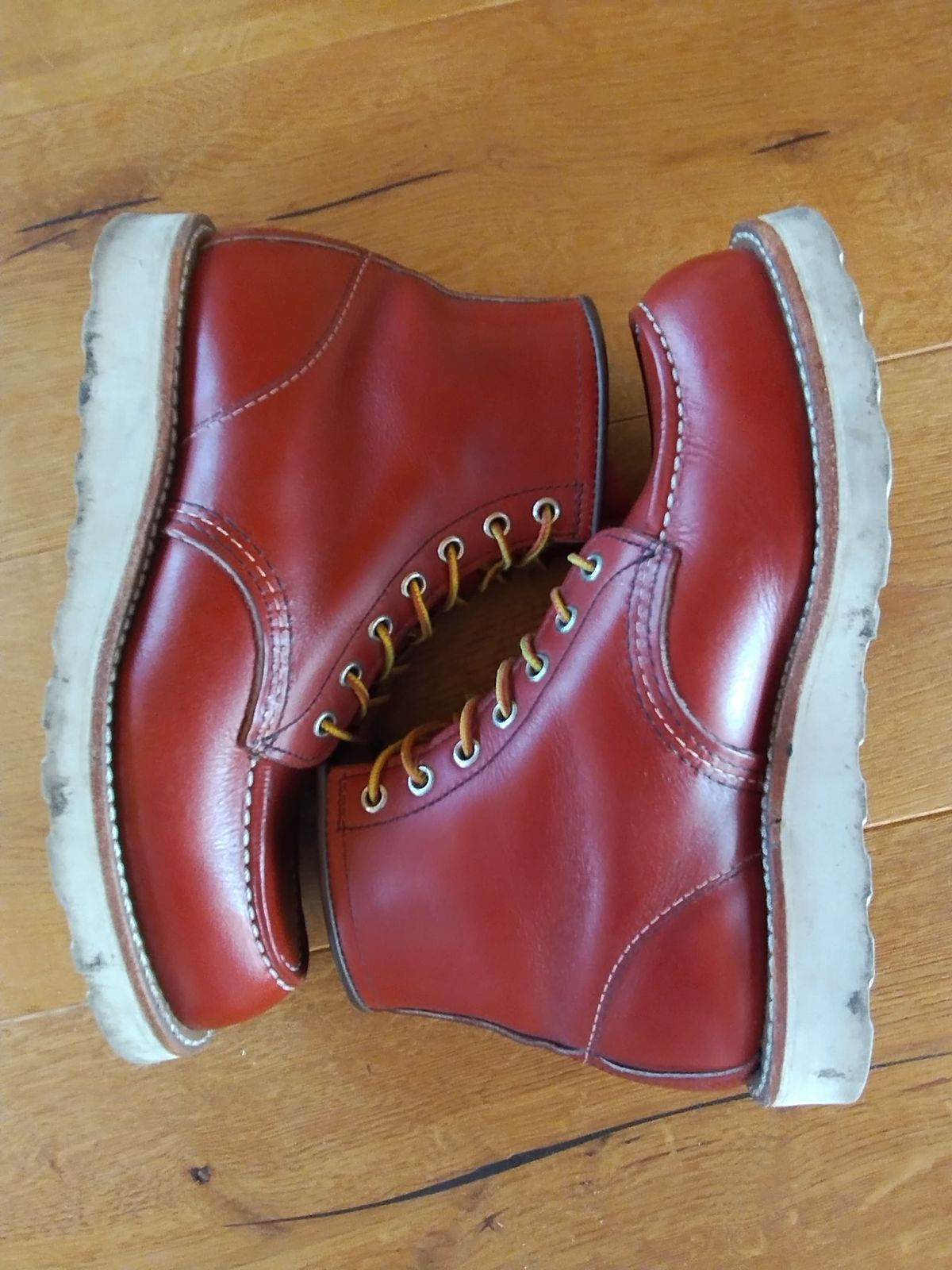 Photo by Lukas_castle on January 3, 2024 of the Red Wing 6-Inch Classic Moc in S.B. Foot Oro-Russet Portage.