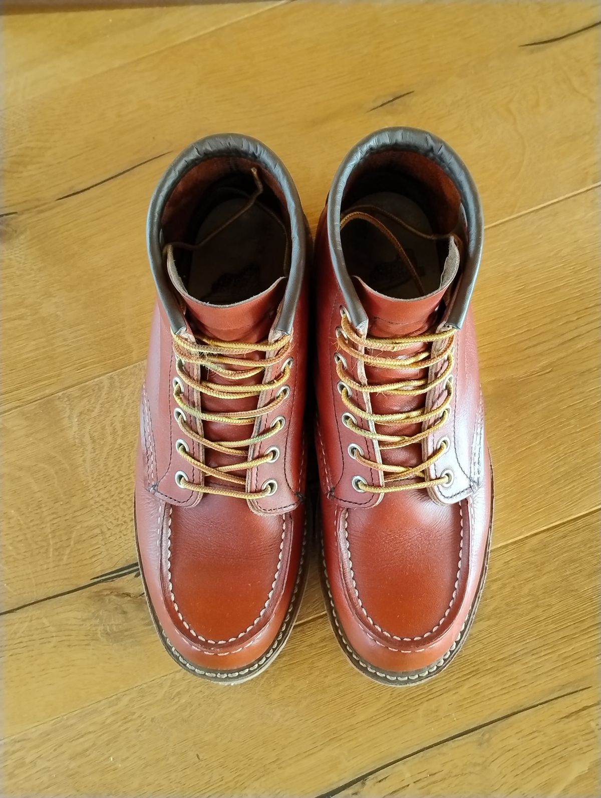 Photo by Lukas_castle on January 3, 2024 of the Red Wing 6-Inch Classic Moc in S.B. Foot Oro-Russet Portage.