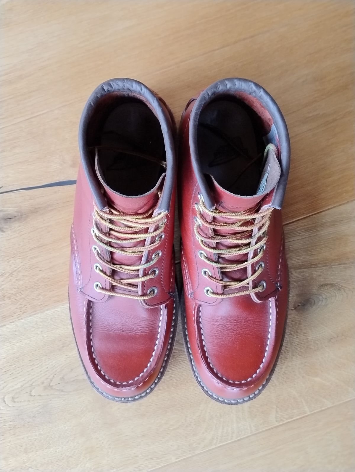 Photo by Lukas_castle on February 2, 2024 of the Red Wing 6-Inch Classic Moc in S.B. Foot Oro-Russet Portage.