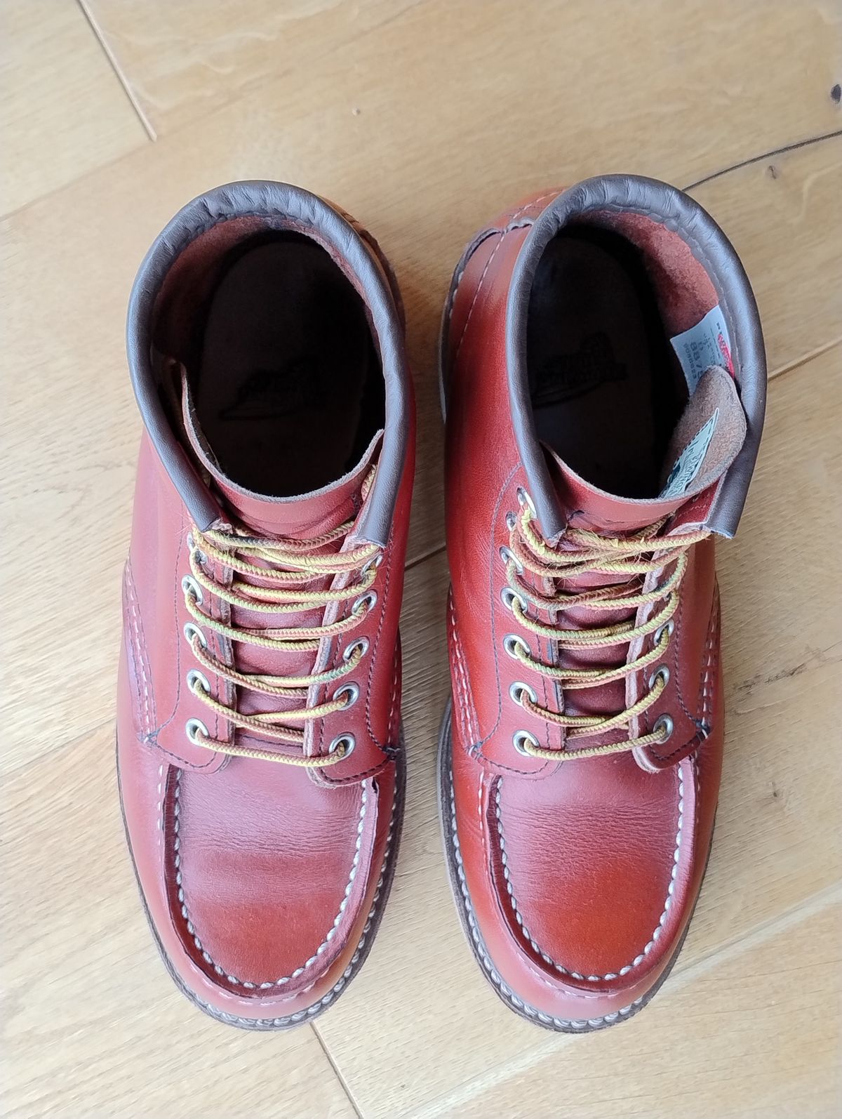 Photo by Lukas_castle on April 1, 2024 of the Red Wing 6-Inch Classic Moc in S.B. Foot Oro-Russet Portage.