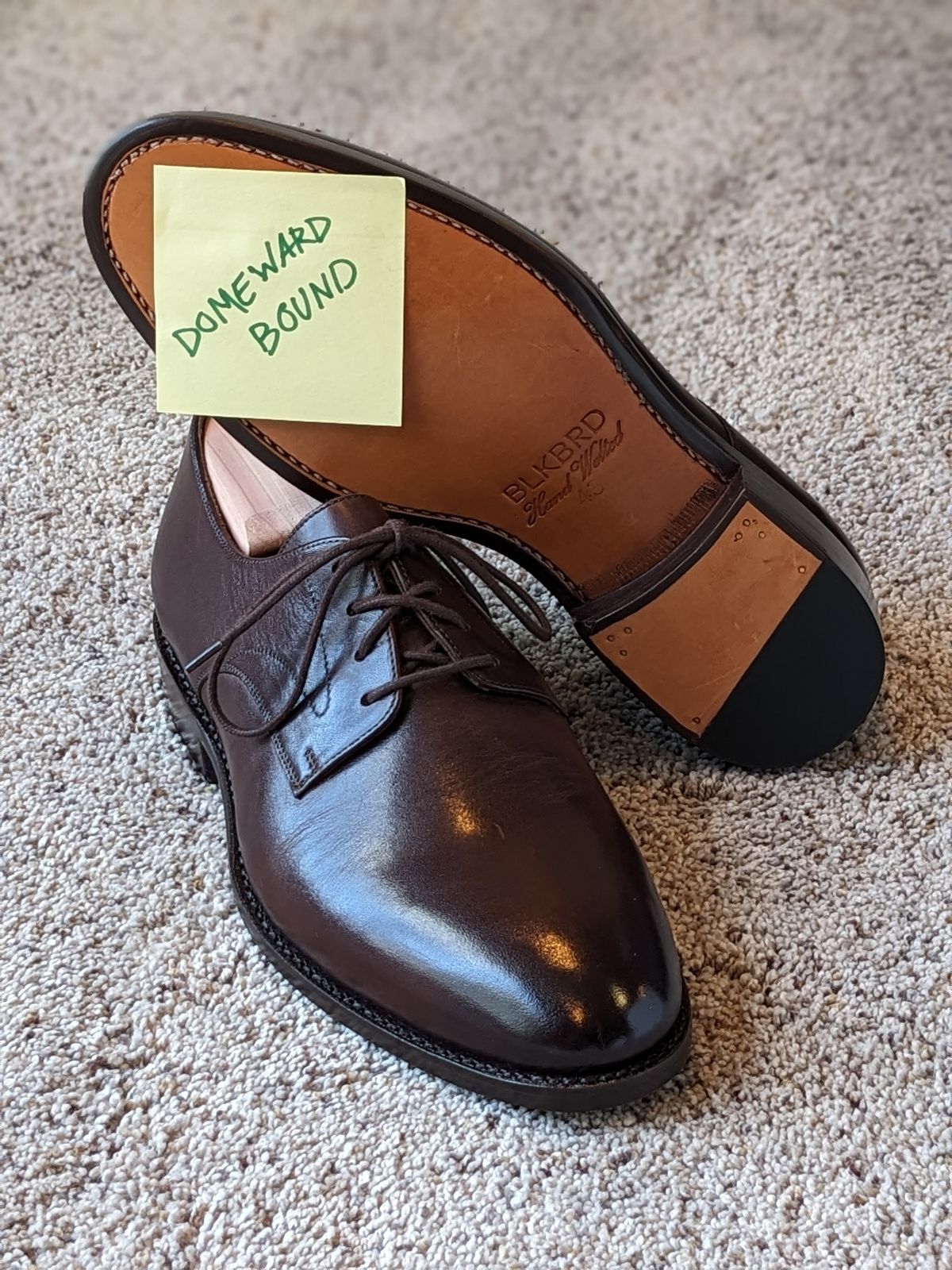 Photo by atgrey on October 5, 2023 of the Blkbrd Shoemaker Xavier Plain Vamp Derby in Unknown Leather.