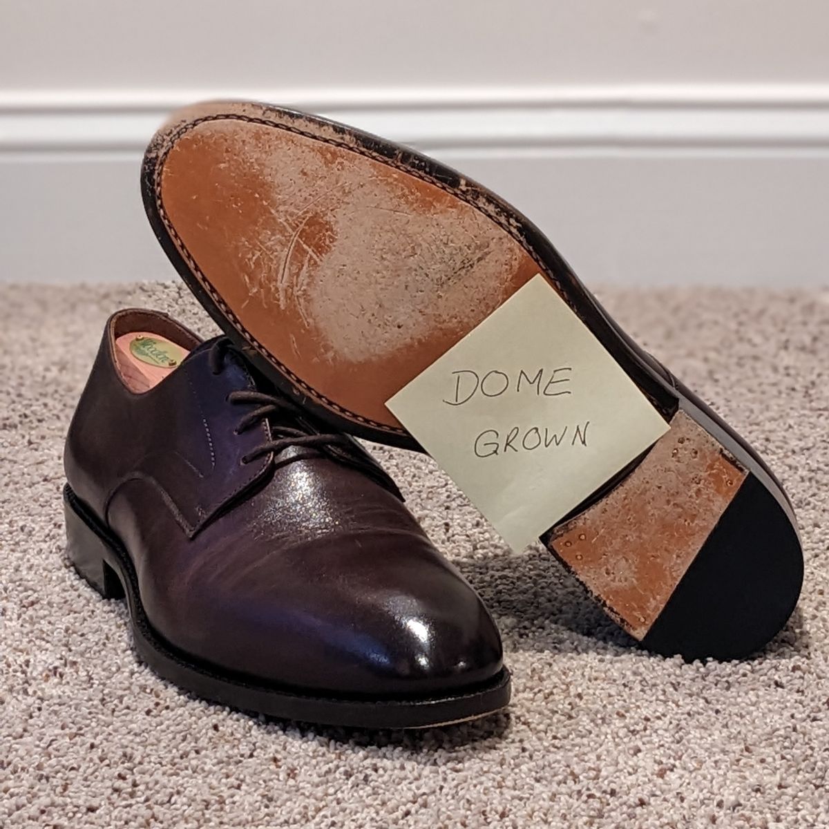 Photo by atgrey on November 4, 2023 of the Blkbrd Shoemaker Xavier Plain Vamp Derby in Unknown Leather.