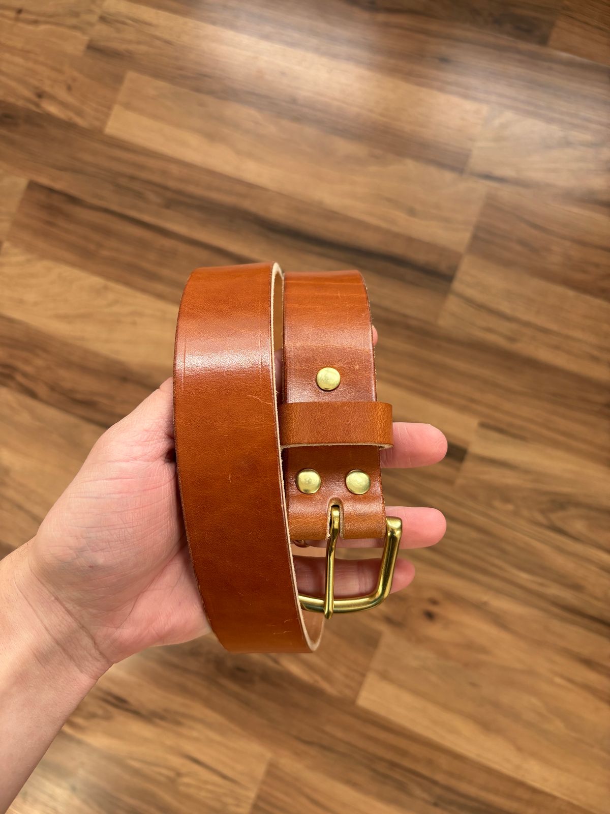 Photo by drew_15 on December 24, 2025 of the Self-Made Belt in Wickett & Craig Buck Brown Traditional Harness.