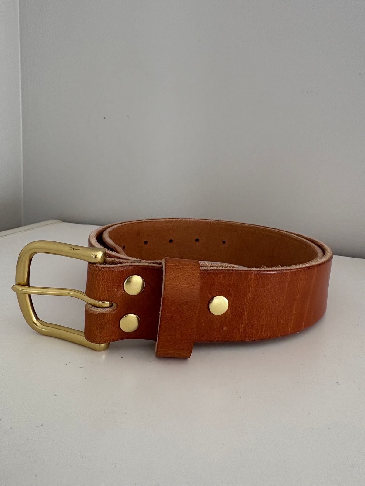 Photo by drew_15 on December 24, 2025 of the Self-Made Belt in Wickett & Craig Buck Brown Traditional Harness.