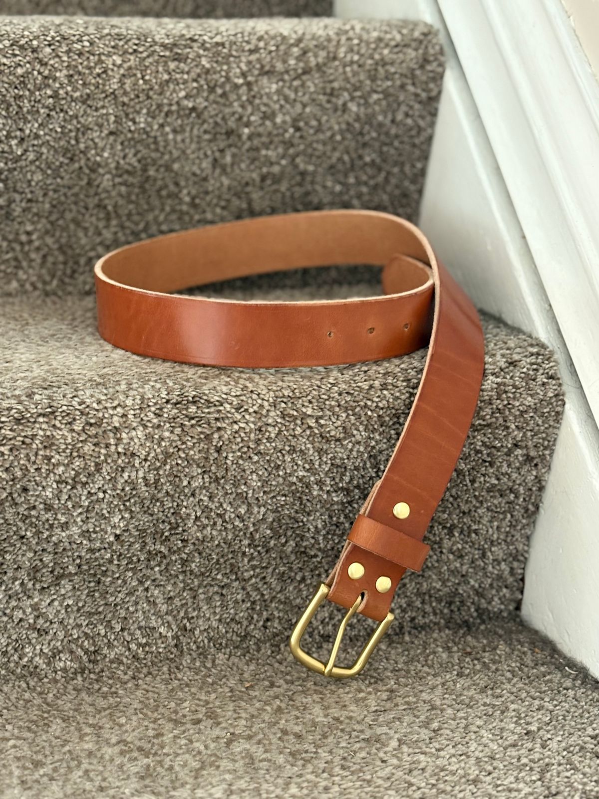 Photo by drew_15 on December 24, 2025 of the Self-Made Belt in Wickett & Craig Buck Brown Traditional Harness.
