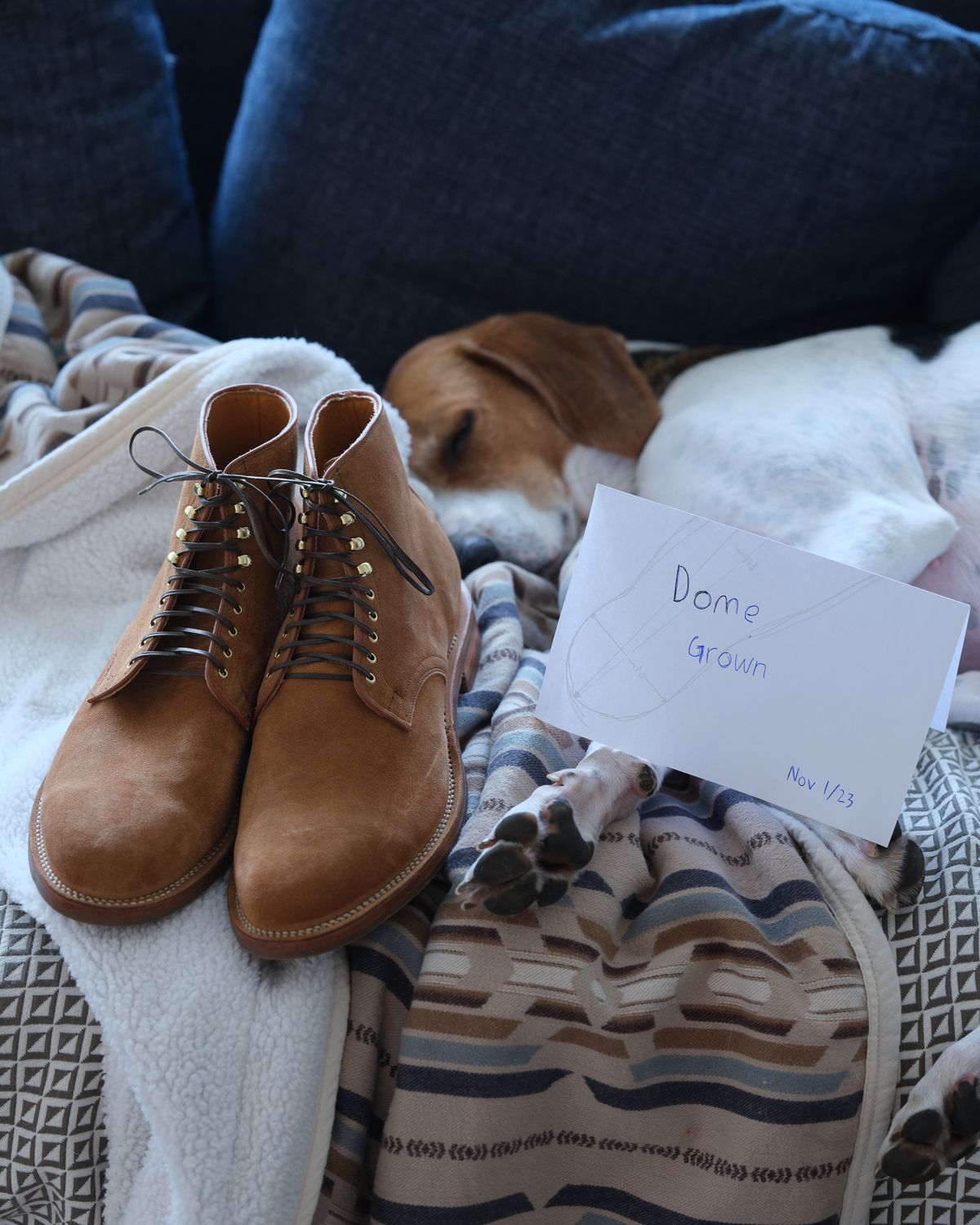 Photo by thepatinaarena on November 1, 2023 of the Viberg Derby Boot in C.F. Stead Anise Calf Suede.