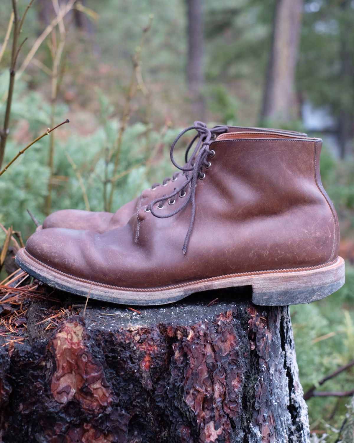 Photo by thepatinaarena on January 6, 2025 of the Viberg Wholecut Derby Boot in Maryam 1071 Horsebutt.