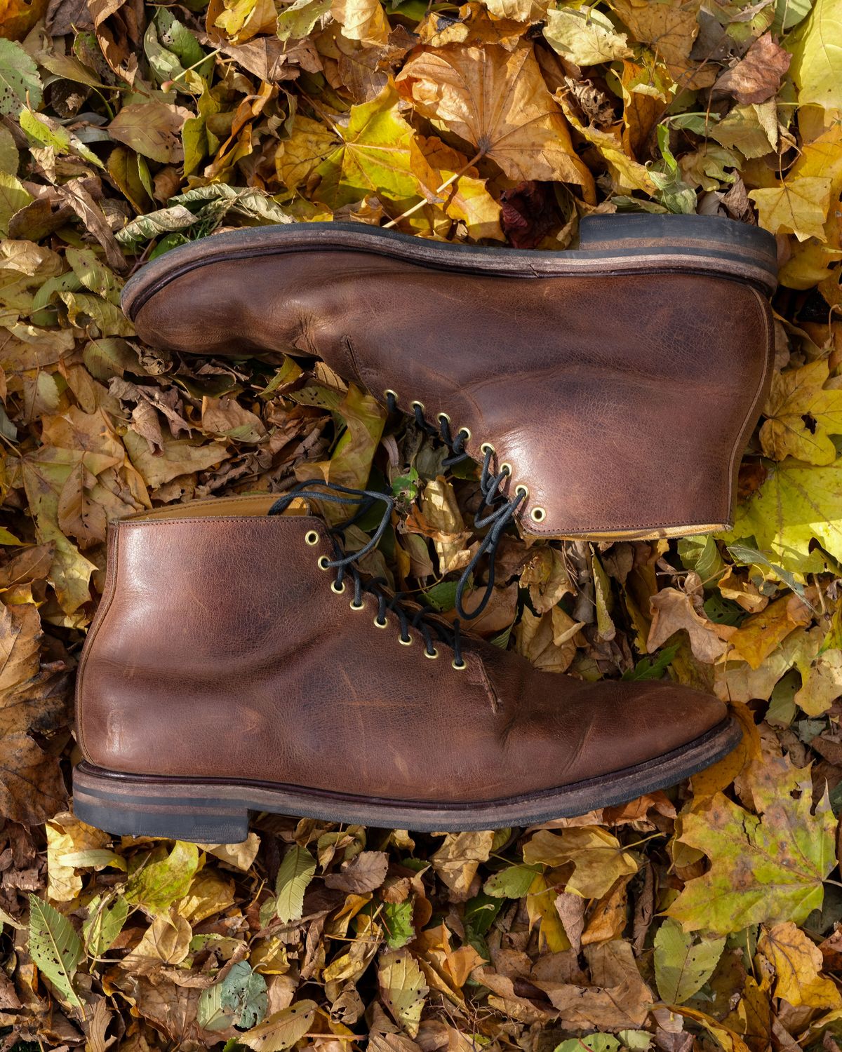 Photo by thepatinaarena on December 4, 2021 of the Viberg Wholecut Derby Boot in Horween Rowdy Dachshund.