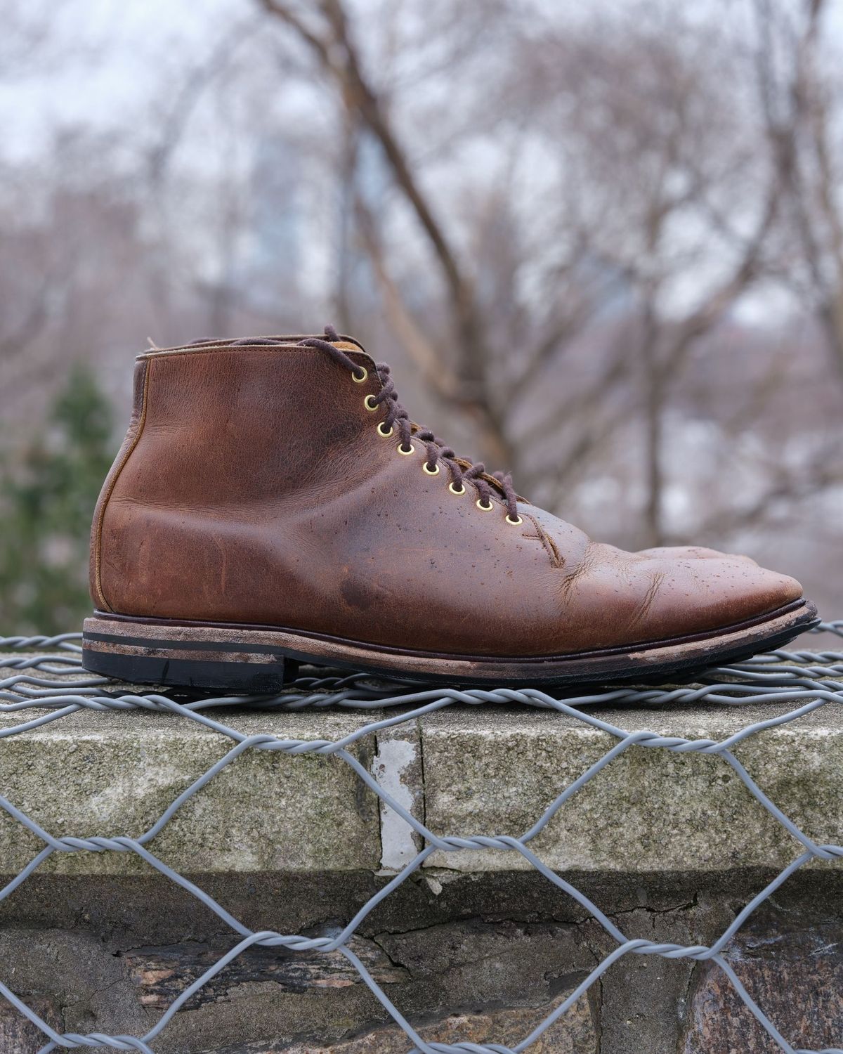 Photo by thepatinaarena on February 2, 2022 of the Viberg Wholecut Derby Boot in Horween Rowdy Dachshund.