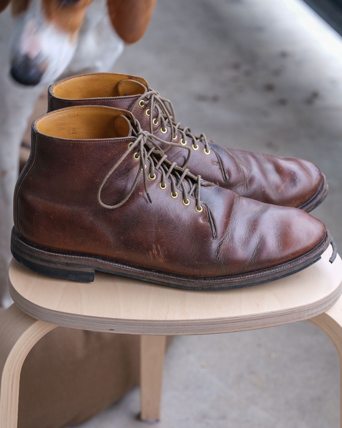 Photo by thepatinaarena on May 6, 2022 of the Viberg Wholecut Derby Boot in Horween Rowdy Dachshund.