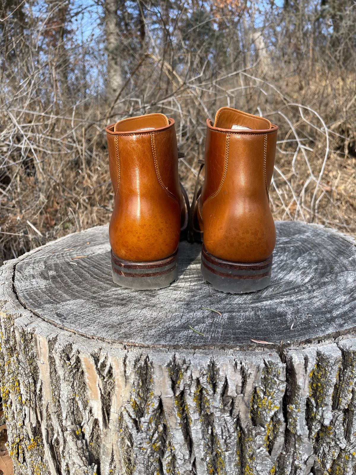 Photo by HonestHunter on January 5, 2025 of the Viberg Service Boot BCT in Shinki Cognac Teacore Horsebutt.