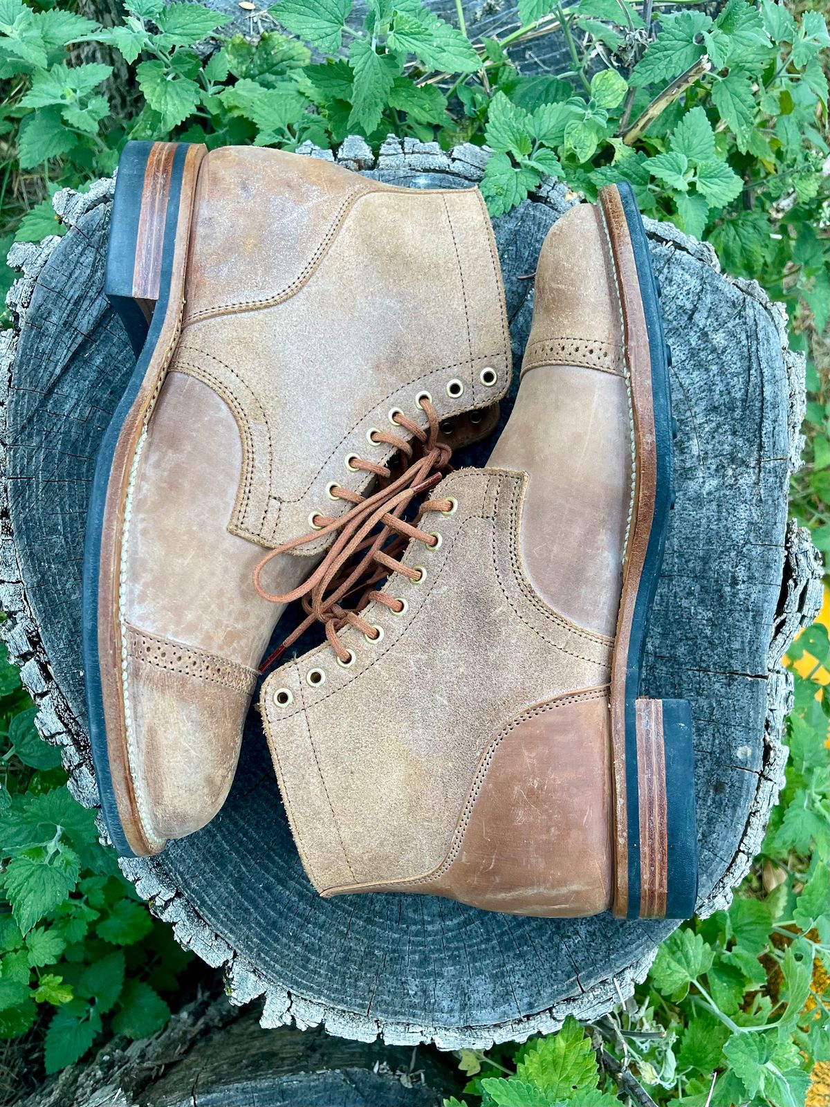 Photo by HonestHunter on October 1, 2024 of the Viberg Service Boot BCT in Maryam 1060 Revescio Sego Horsebutt.