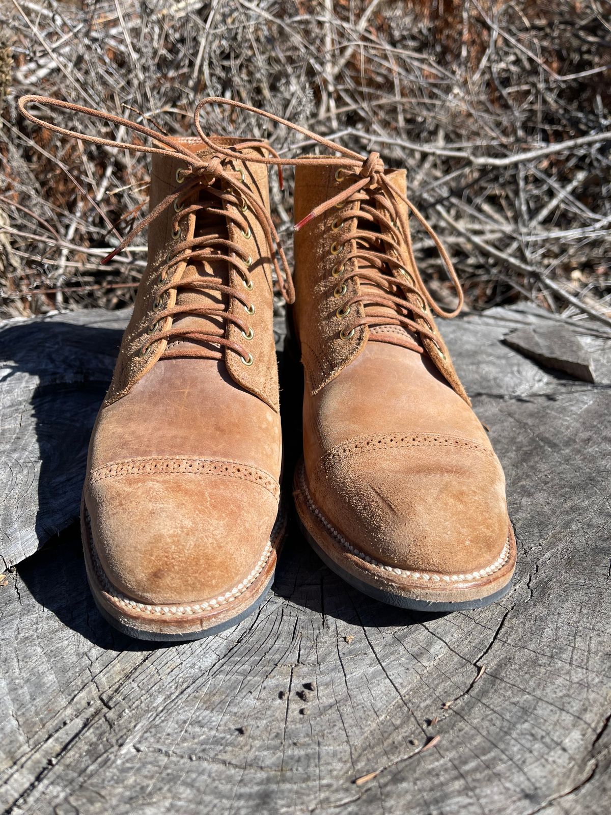Photo by HonestHunter on March 2, 2025 of the Viberg Service Boot BCT in Maryam 1060 Revescio Sego Horsebutt.