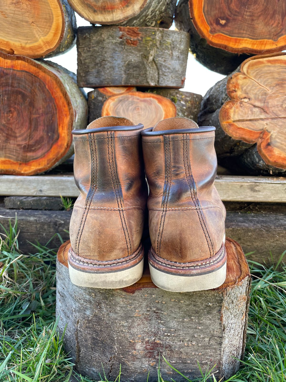 Photo by DRVX on January 1, 2023 of the Red Wing 6-Inch Classic Moc in S.B. Foot Copper Rough and Tough.