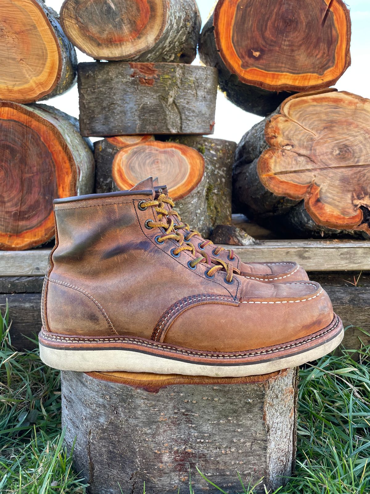 Photo by DRVX on January 1, 2023 of the Red Wing 6-Inch Classic Moc in S.B. Foot Copper Rough and Tough.