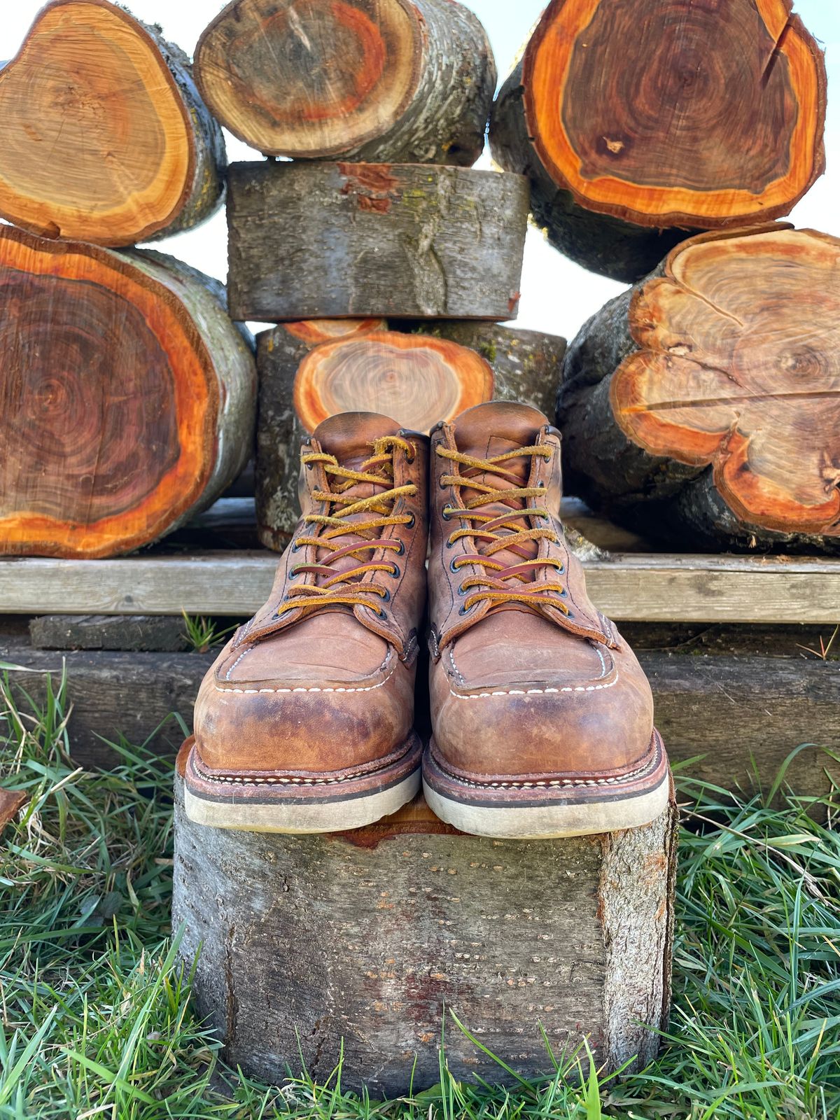 Photo by DRVX on January 1, 2023 of the Red Wing 6-Inch Classic Moc in S.B. Foot Copper Rough and Tough.