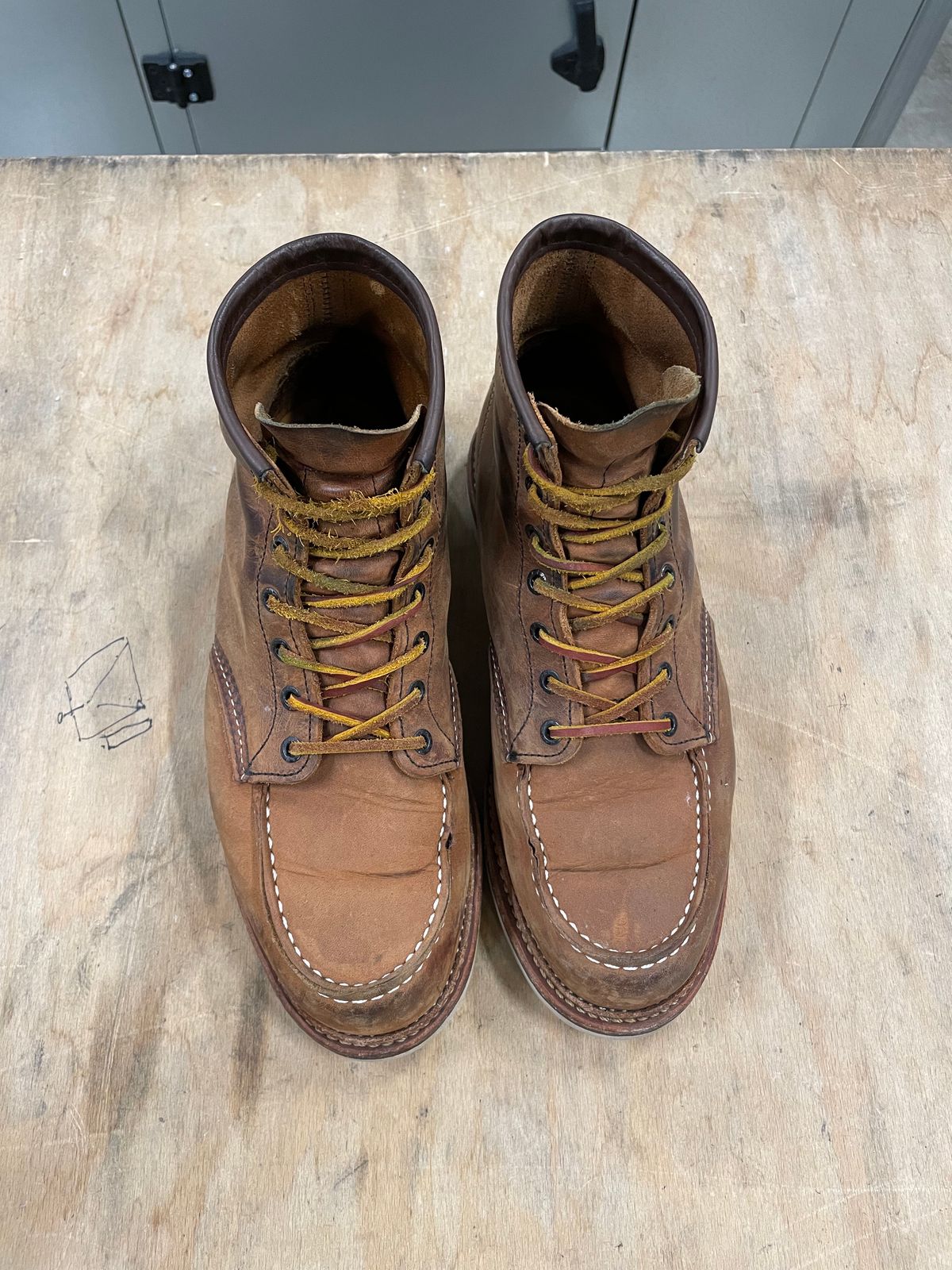 Photo by DRVX on February 5, 2023 of the Red Wing 6-Inch Classic Moc in S.B. Foot Copper Rough and Tough.