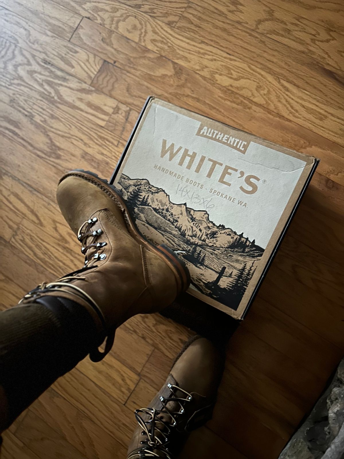 Photo by 30SecondsBrave on November 9, 2023 of the White's Fire Hybrid in Brown Distress.