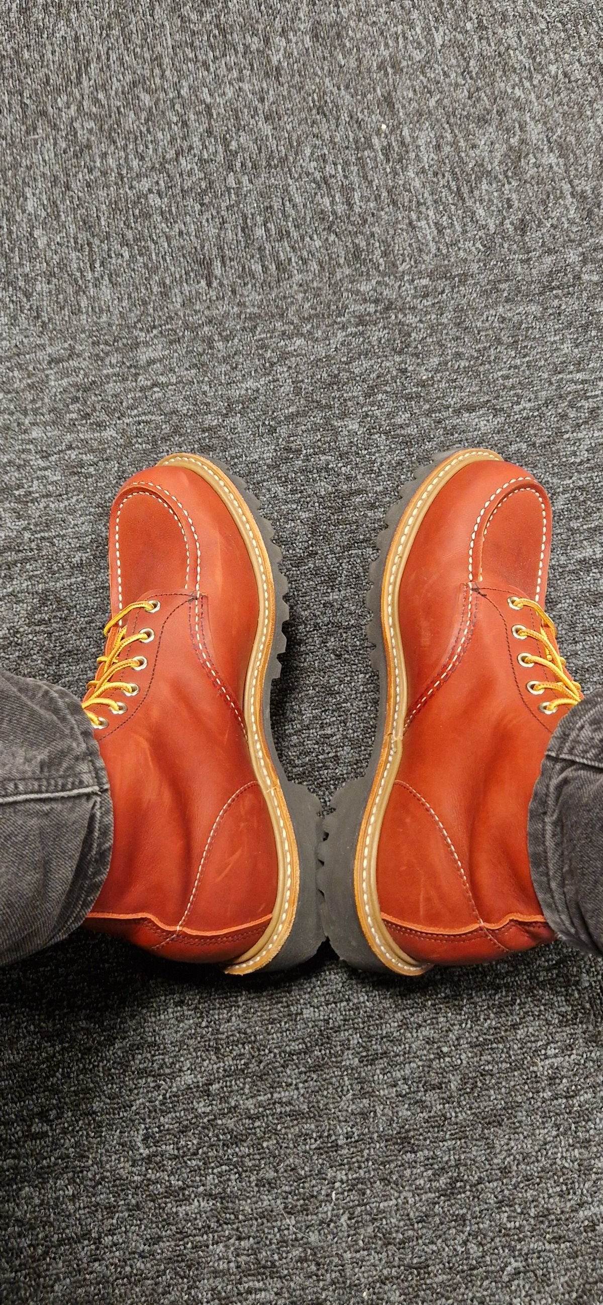 Photo by bastan on October 4, 2024 of the Red Wing 6-Inch Classic Moc in S.B. Foot Oro-Russet Portage.