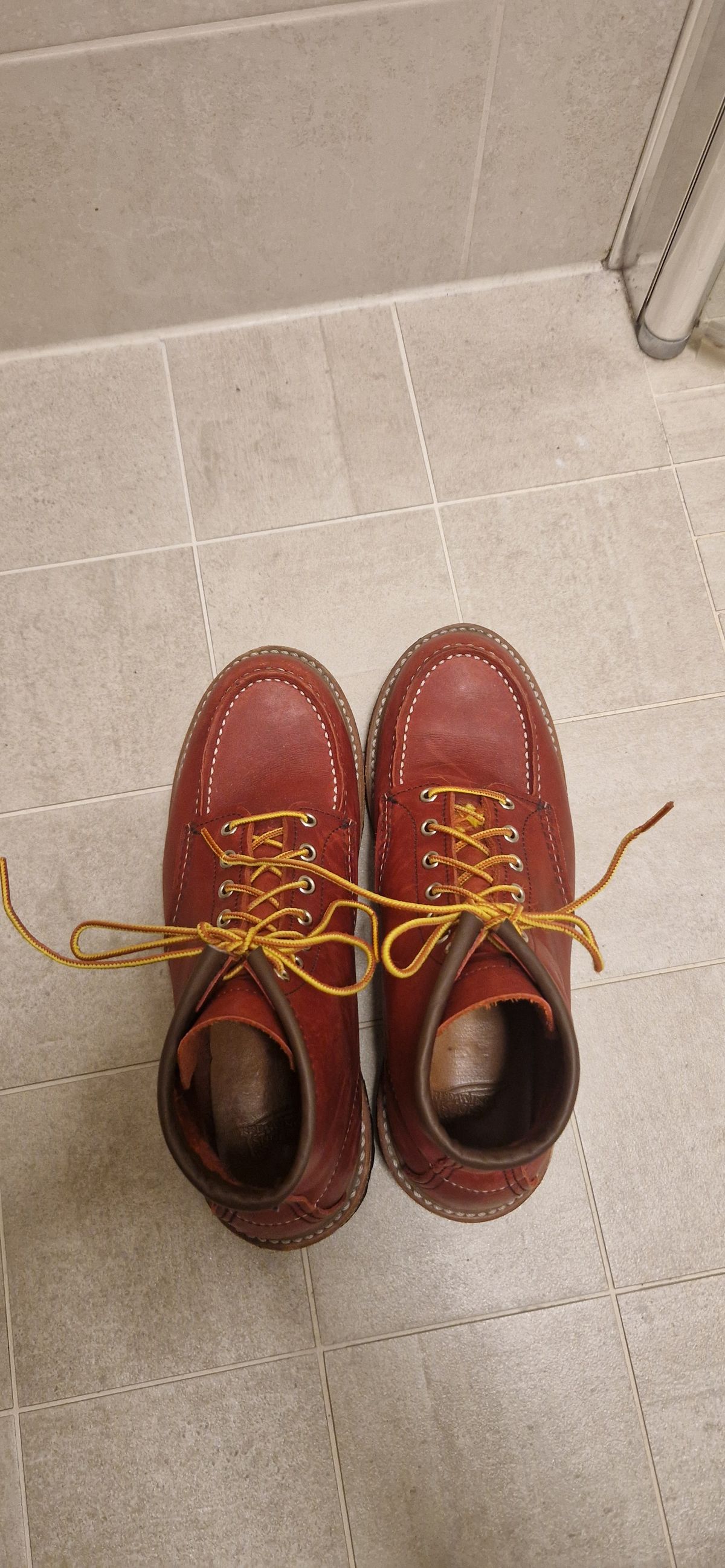 Photo by bastan on November 5, 2024 of the Red Wing 6-Inch Classic Moc in S.B. Foot Oro-Russet Portage.