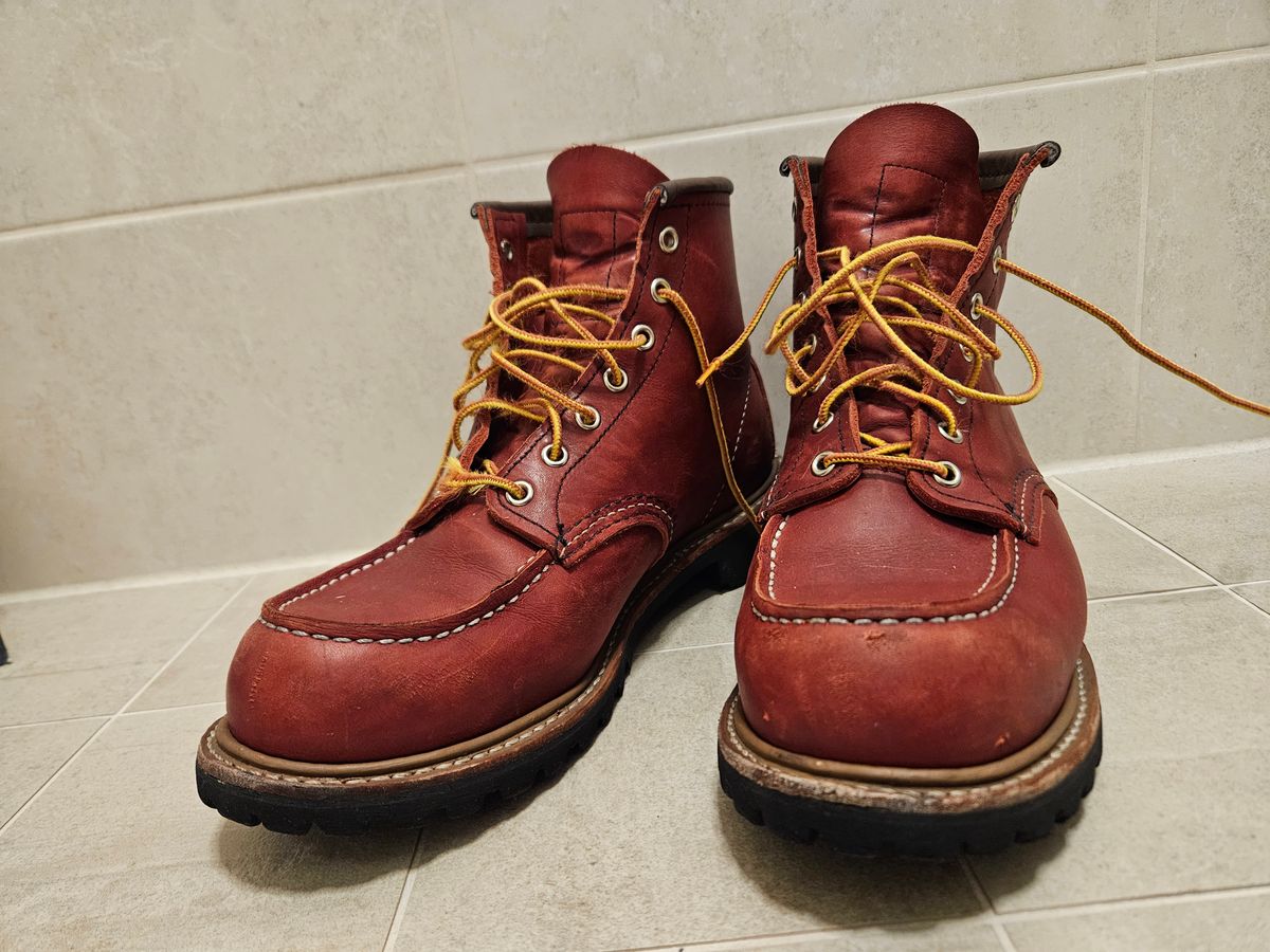 Photo by bastan on January 5, 2025 of the Red Wing 6-Inch Classic Moc in S.B. Foot Oro-Russet Portage.