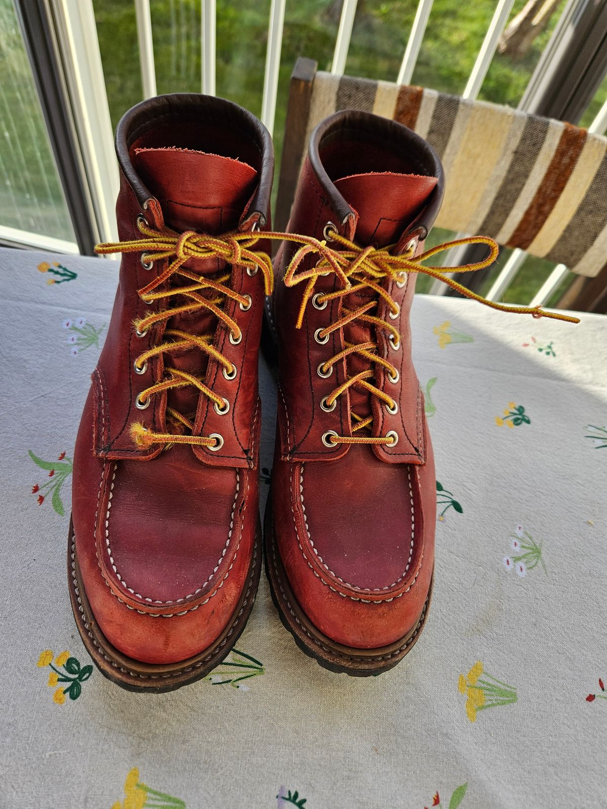 Photo by bastan on April 1, 2025 of the Red Wing 6-Inch Classic Moc in S.B. Foot Oro-Russet Portage.