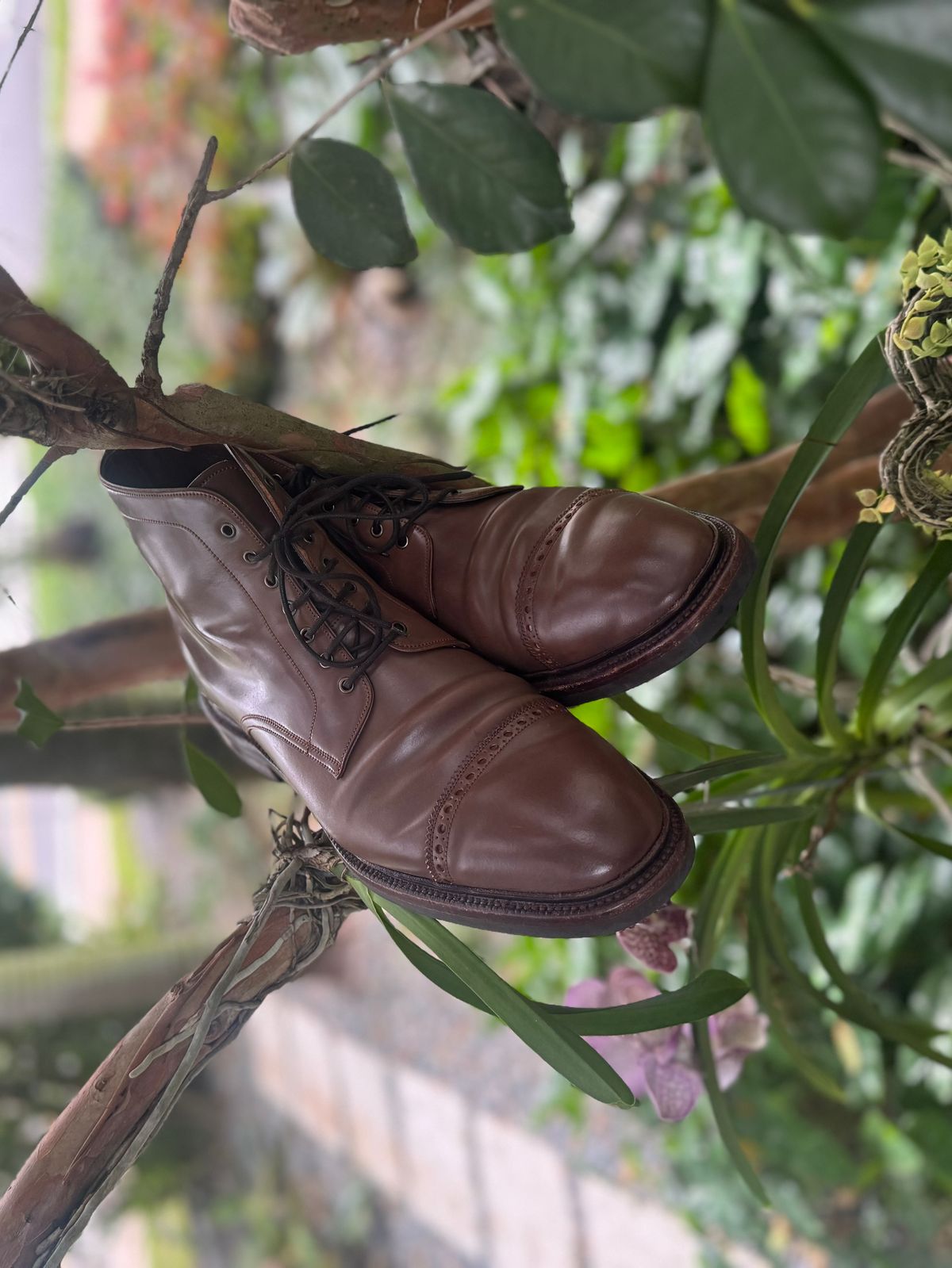 Photo by miamisoledoc on November 4, 2023 of the Carmina Work Boots 861 in Unknown Leather.