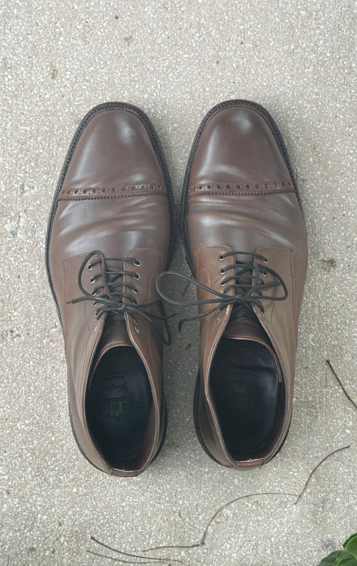 Photo by miamisoledoc on November 4, 2023 of the Carmina Work Boots 861 in Unknown Leather.