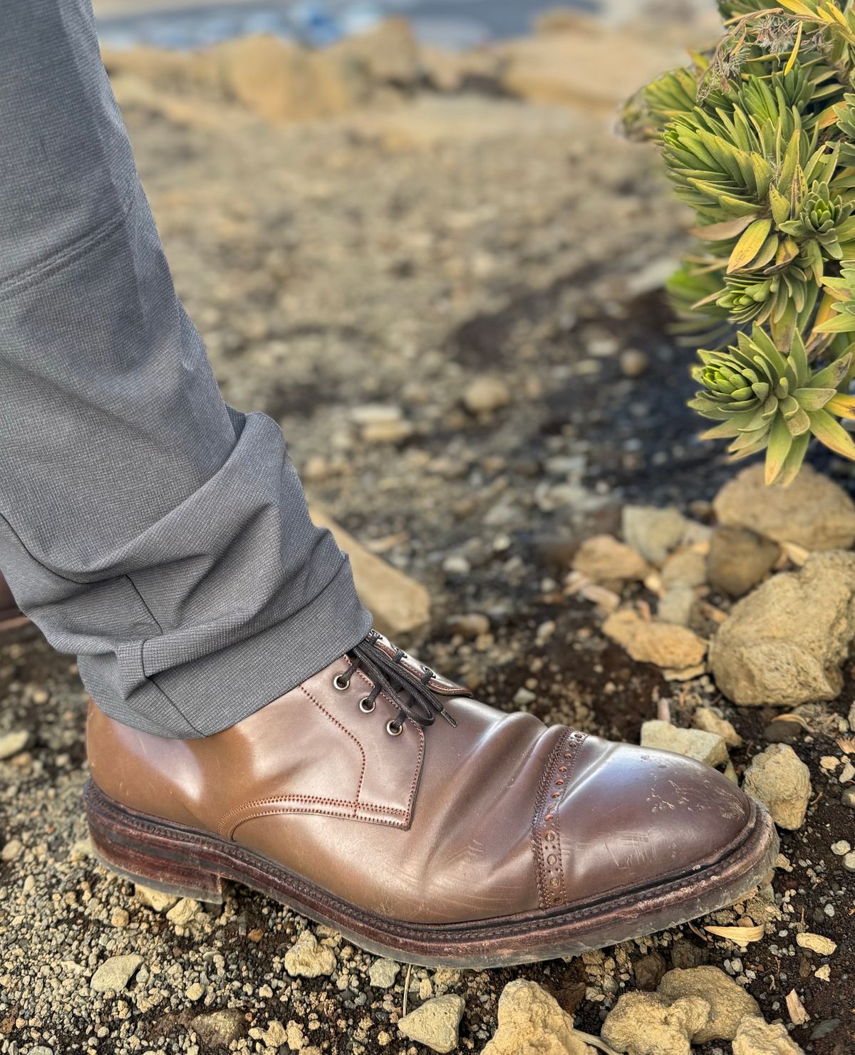 Photo by miamisoledoc on December 3, 2023 of the Carmina Work Boots 861 in Unknown Leather.