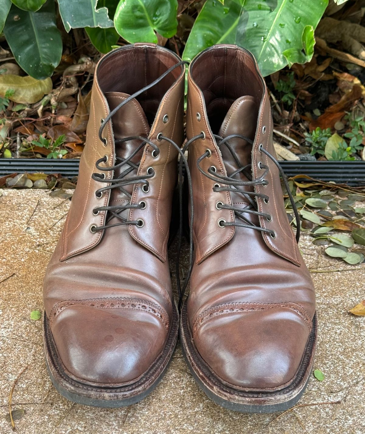 Photo by miamisoledoc on February 4, 2024 of the Carmina Work Boots 861 in Unknown Leather.