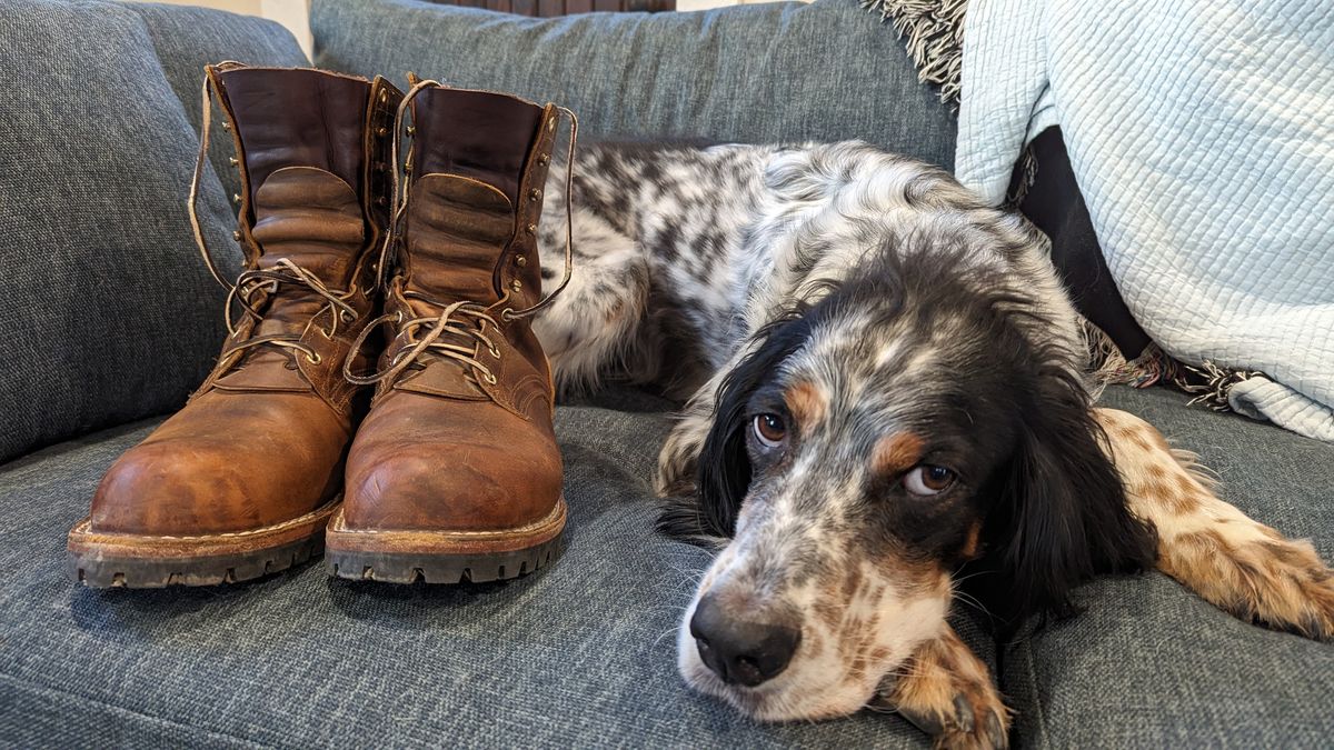 Photo by rexroof on November 5, 2023 of the Nicks Overlander in Horween Orange Predator.