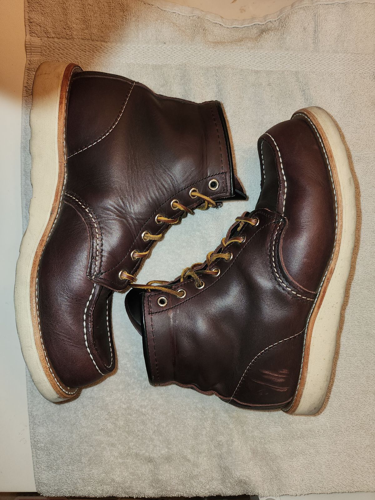 Photo by jagonzz on December 6, 2023 of the Red Wing 6-Inch Classic Moc in S.B. Foot Black Cherry Excalibur.