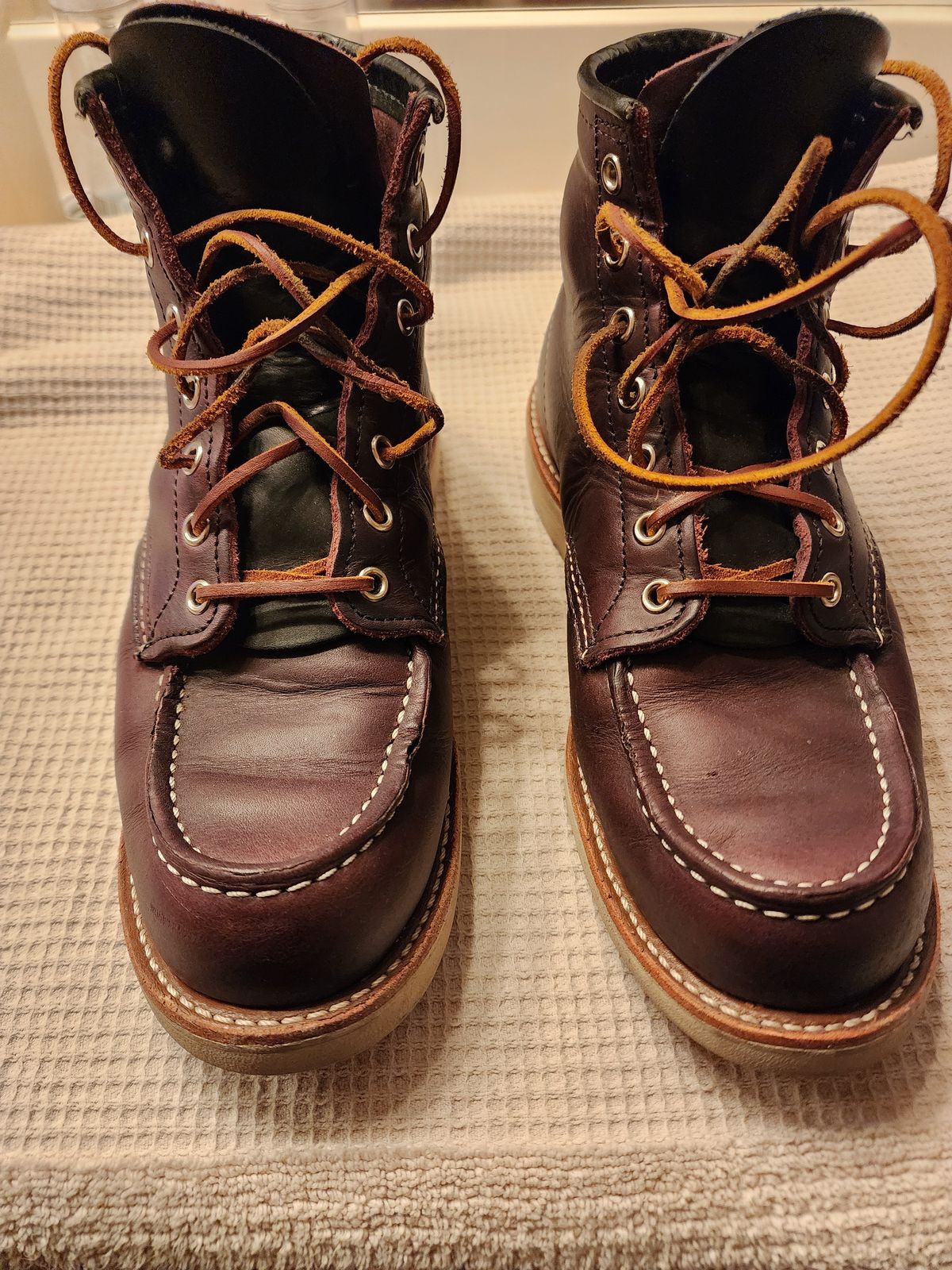 Photo by jagonzz on January 6, 2024 of the Red Wing 6-Inch Classic Moc in S.B. Foot Black Cherry Excalibur.