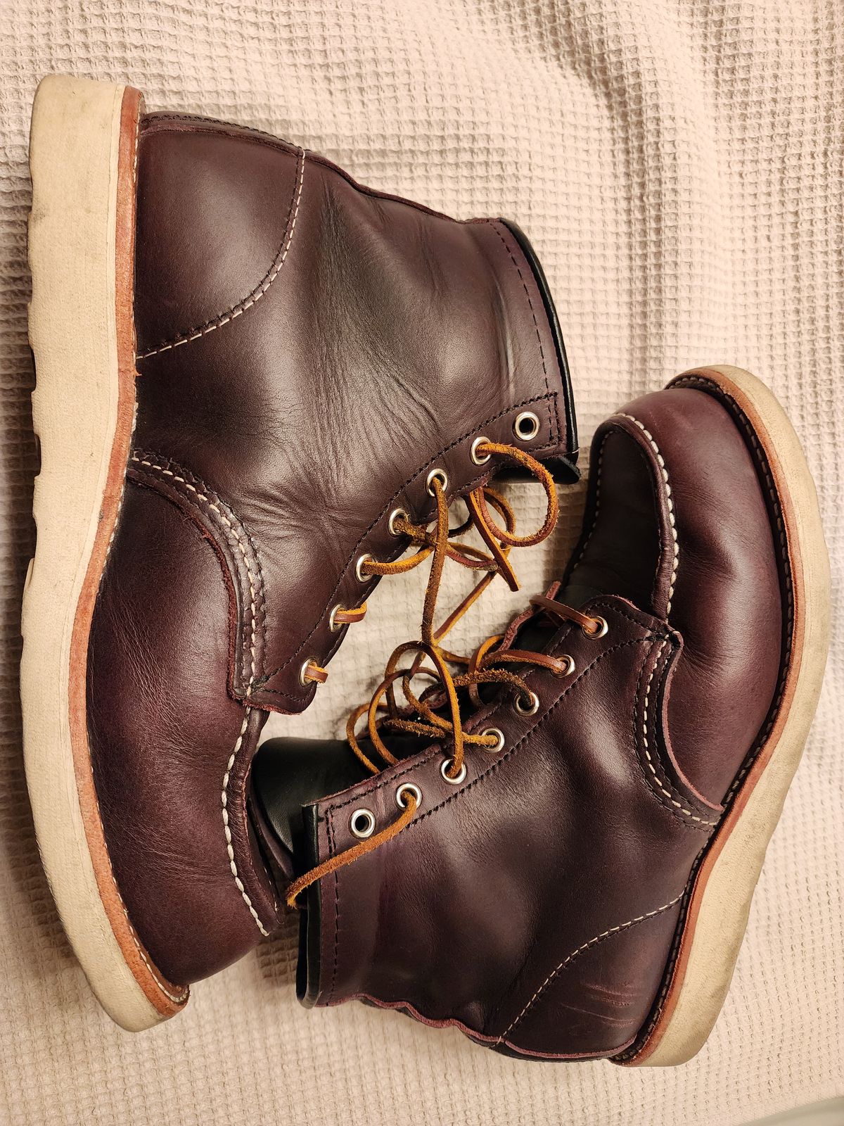 Photo by jagonzz on January 6, 2024 of the Red Wing 6-Inch Classic Moc in S.B. Foot Black Cherry Excalibur.