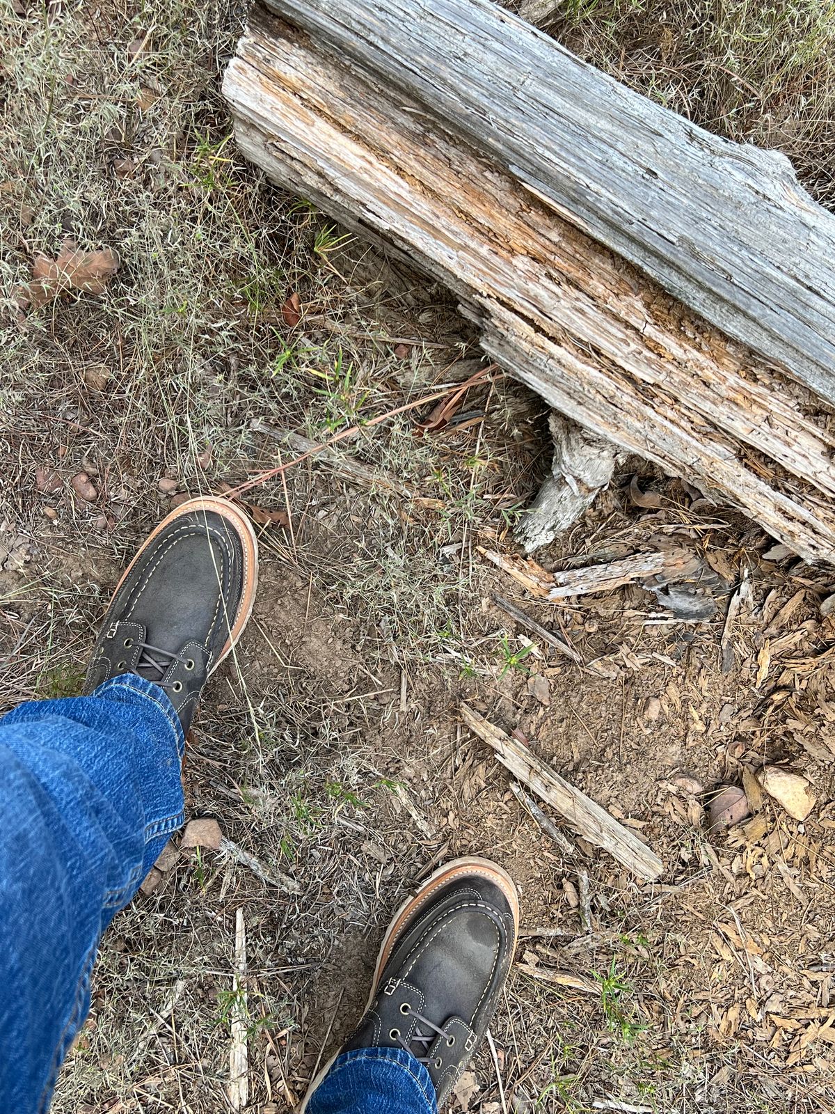 Photo by thepugilist on October 1, 2023 of the Grant Stone Field Boot in C.F. Stead Earth Waxy Commander Suede.