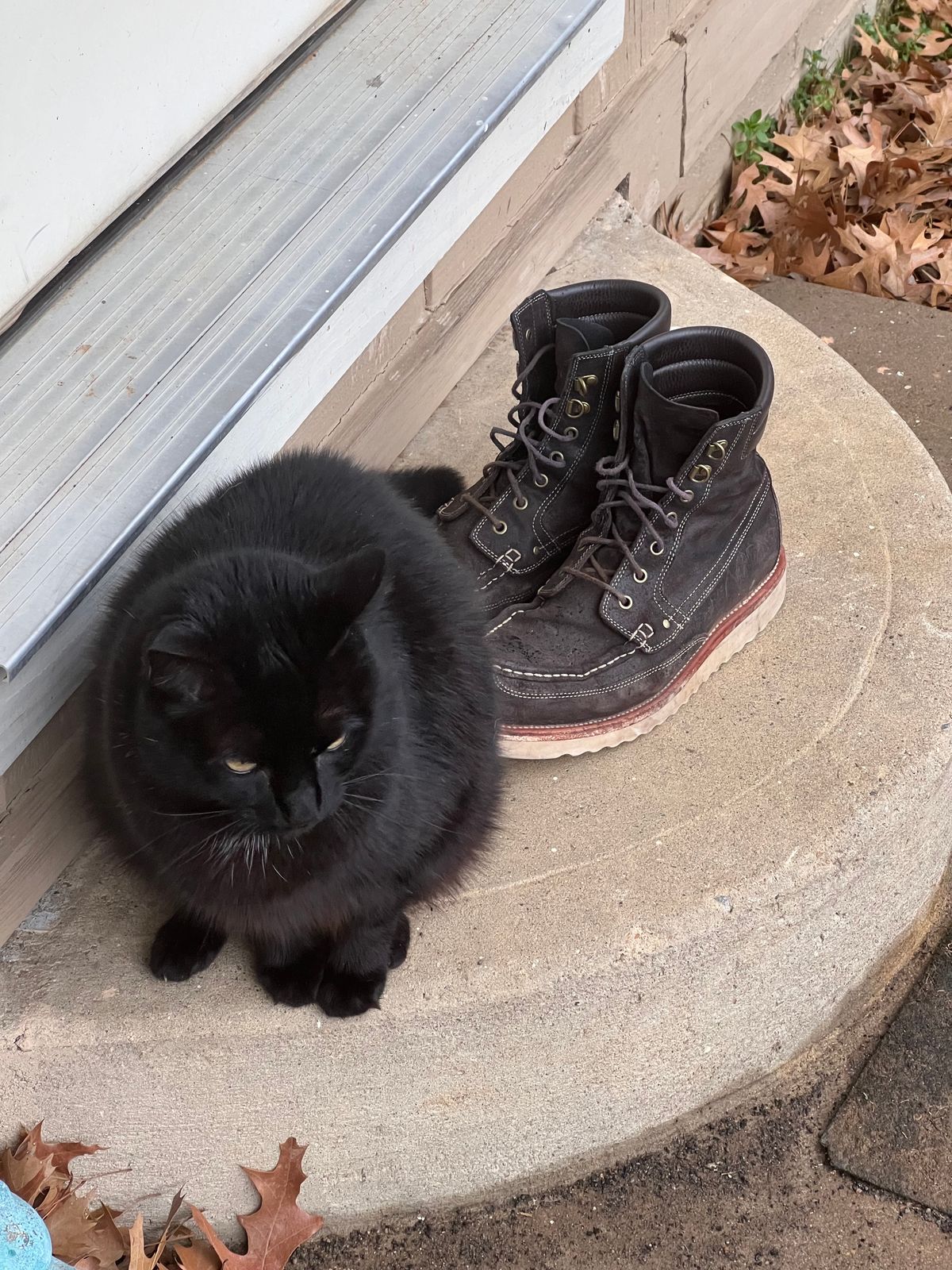 Photo by thepugilist on February 4, 2024 of the Grant Stone Field Boot in C.F. Stead Earth Waxy Commander Suede.