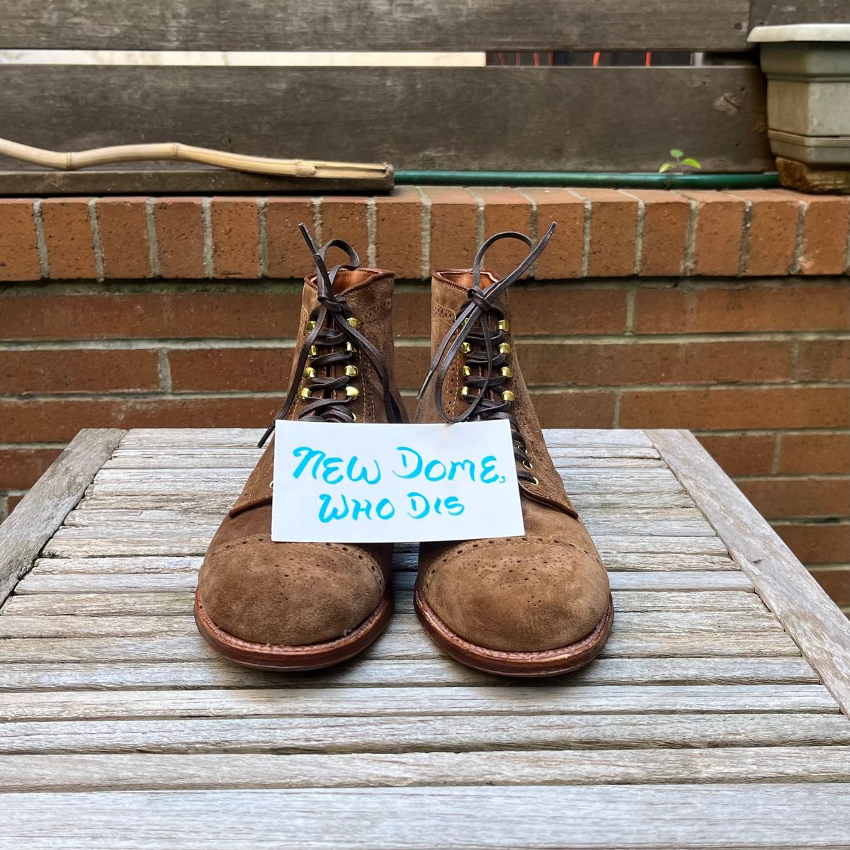 Photo by DesperadoUnderTheEaves on October 2, 2025 of the Alden Wingtip Boot in Snuff Suede.