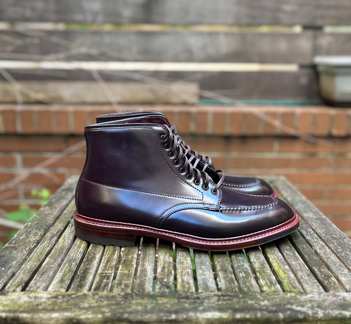 Photo by DesperadoUnderTheEaves on November 5, 2024 of the Alden Indy Boot in Horween Color 8 Shell Cordovan.